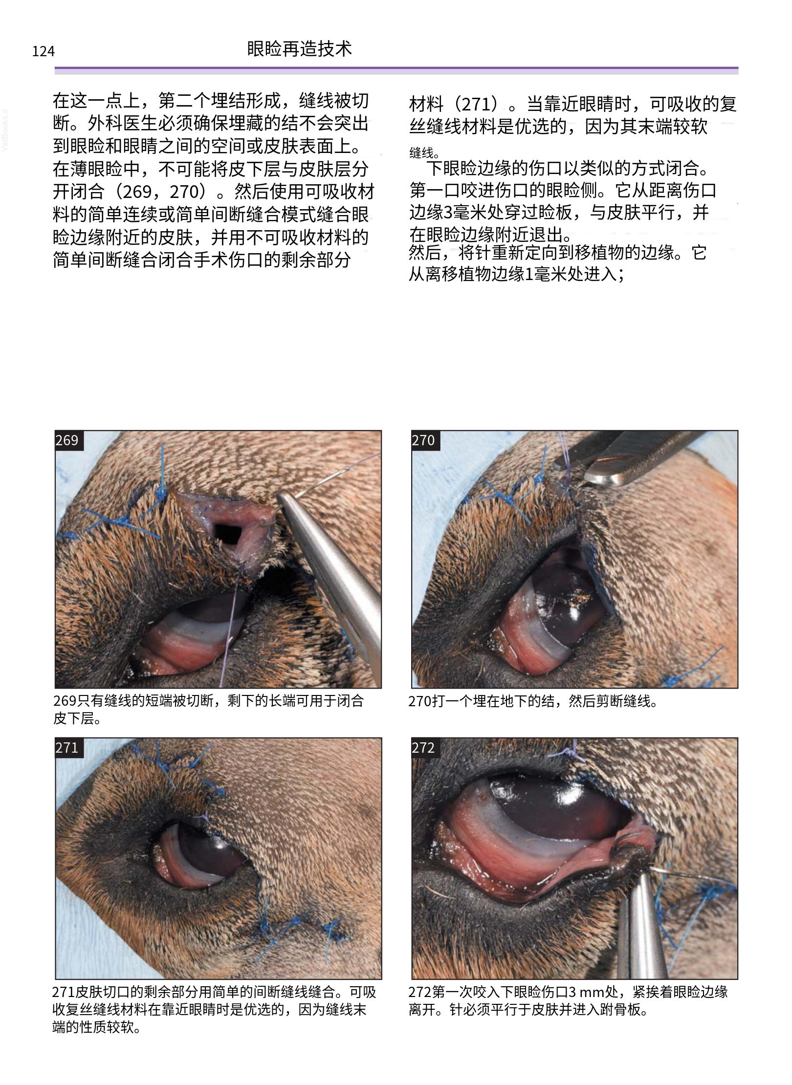 translated.a8c5a3760bed415983298318b0ec0541_125.png