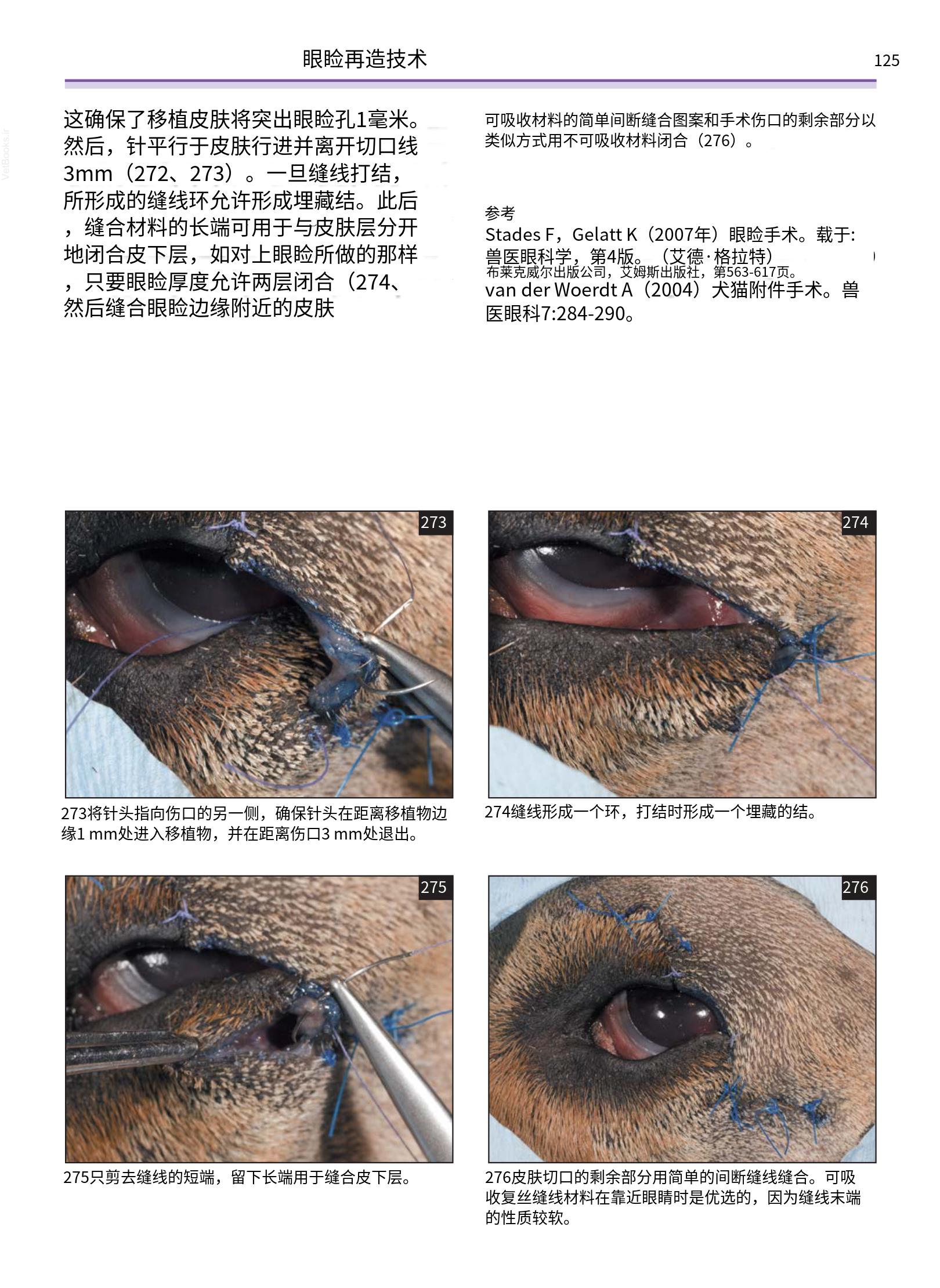 translated.a8c5a3760bed415983298318b0ec0541_126.png