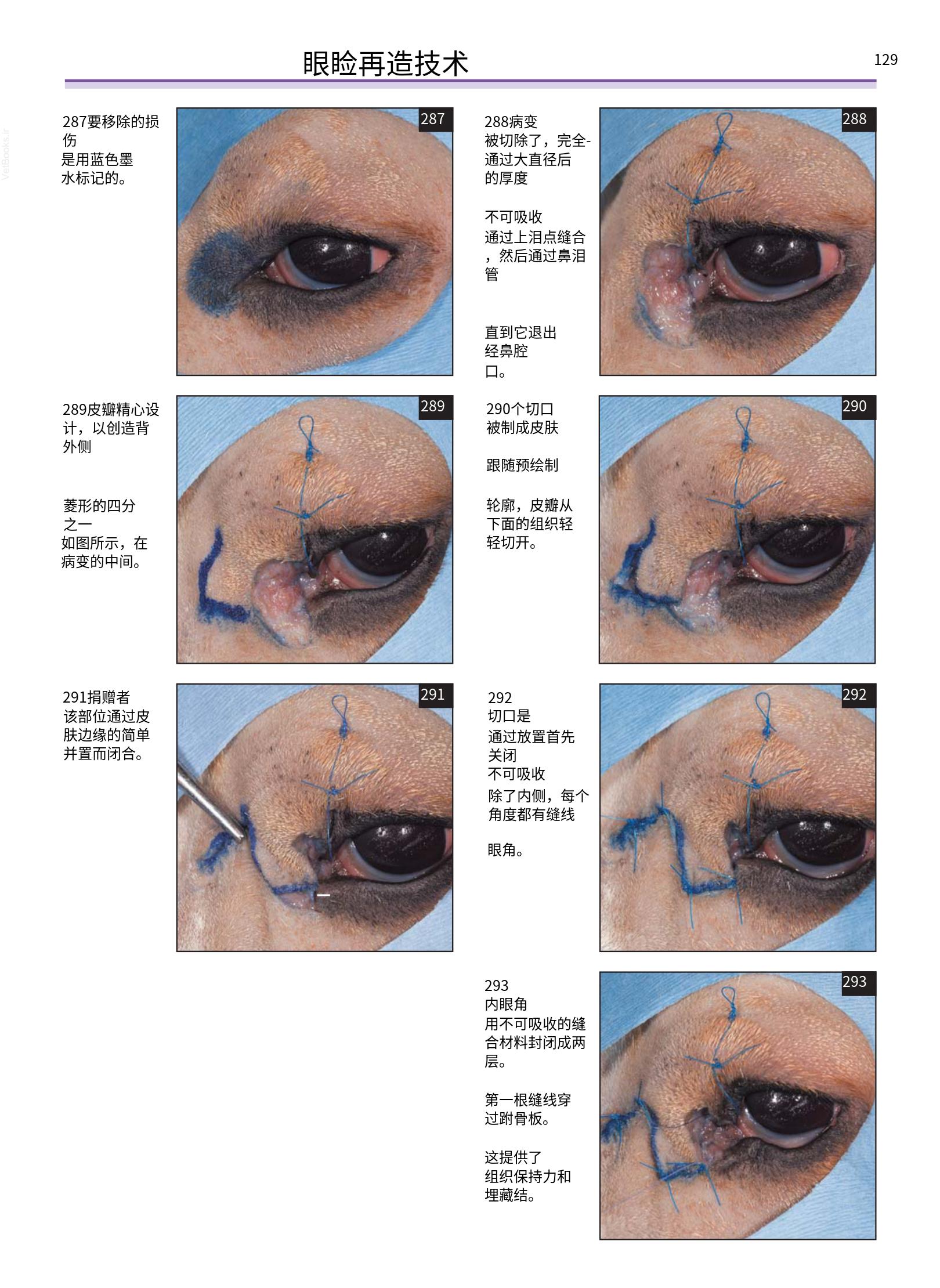 translated.a8c5a3760bed415983298318b0ec0541_130.png