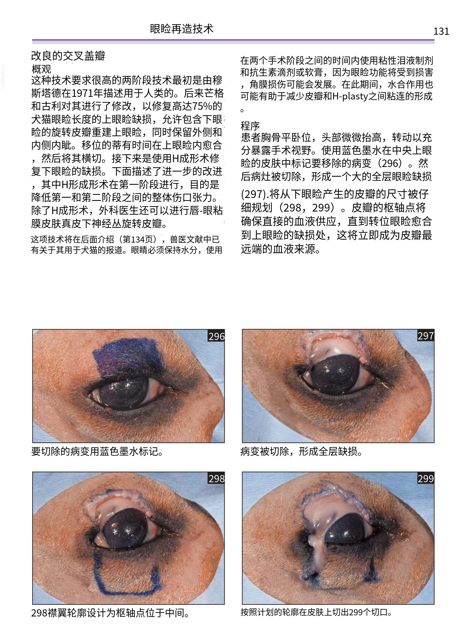 translated.a8c5a3760bed415983298318b0ec0541_132.png