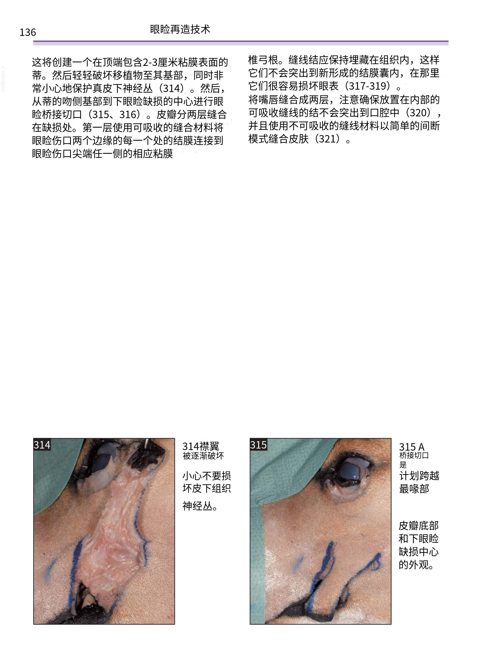translated.a8c5a3760bed415983298318b0ec0541_137.png