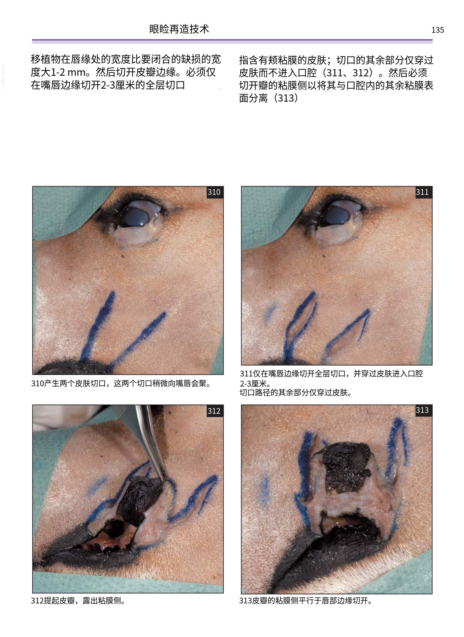 translated.a8c5a3760bed415983298318b0ec0541_136.png