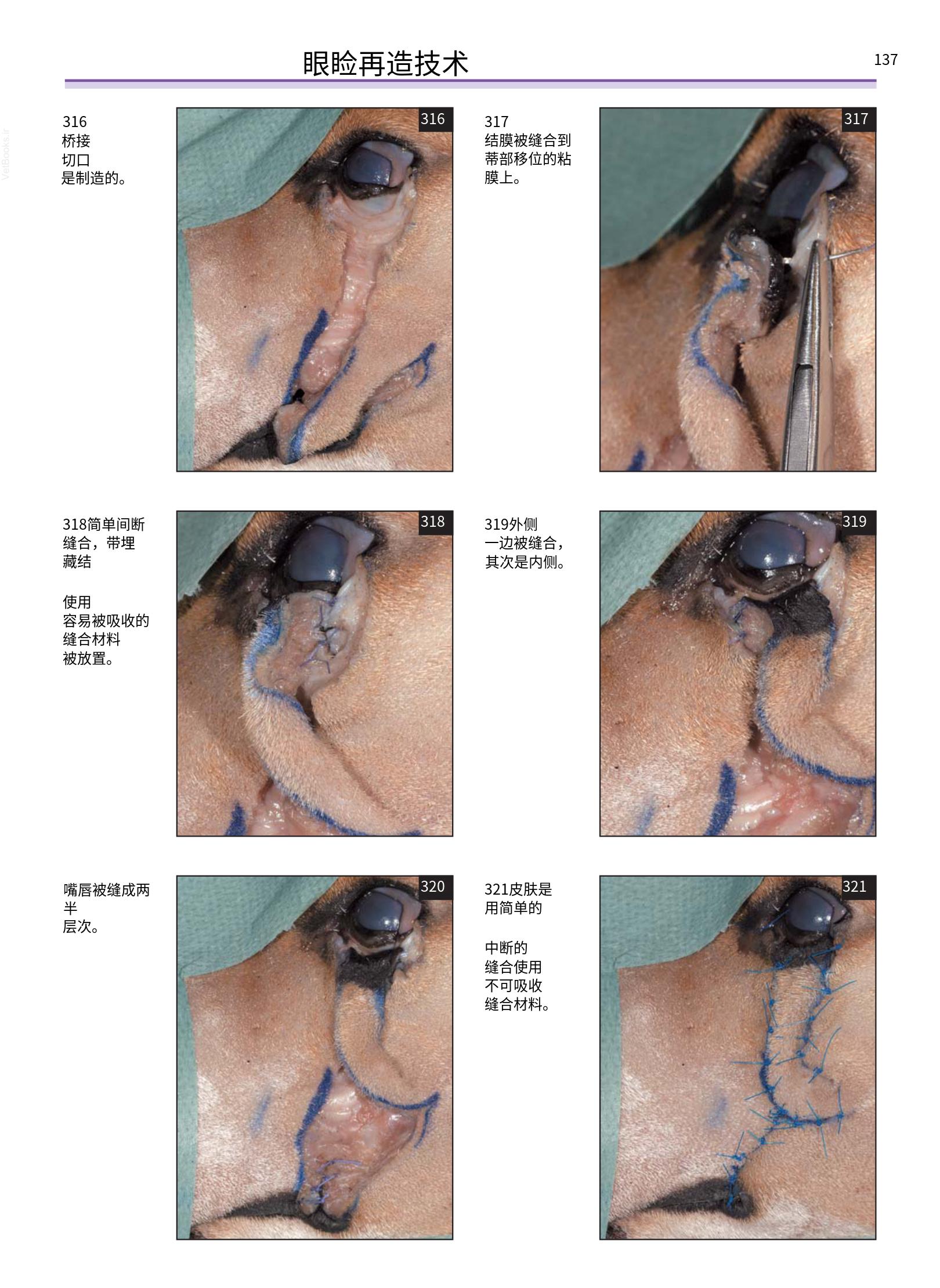 translated.a8c5a3760bed415983298318b0ec0541_138.png