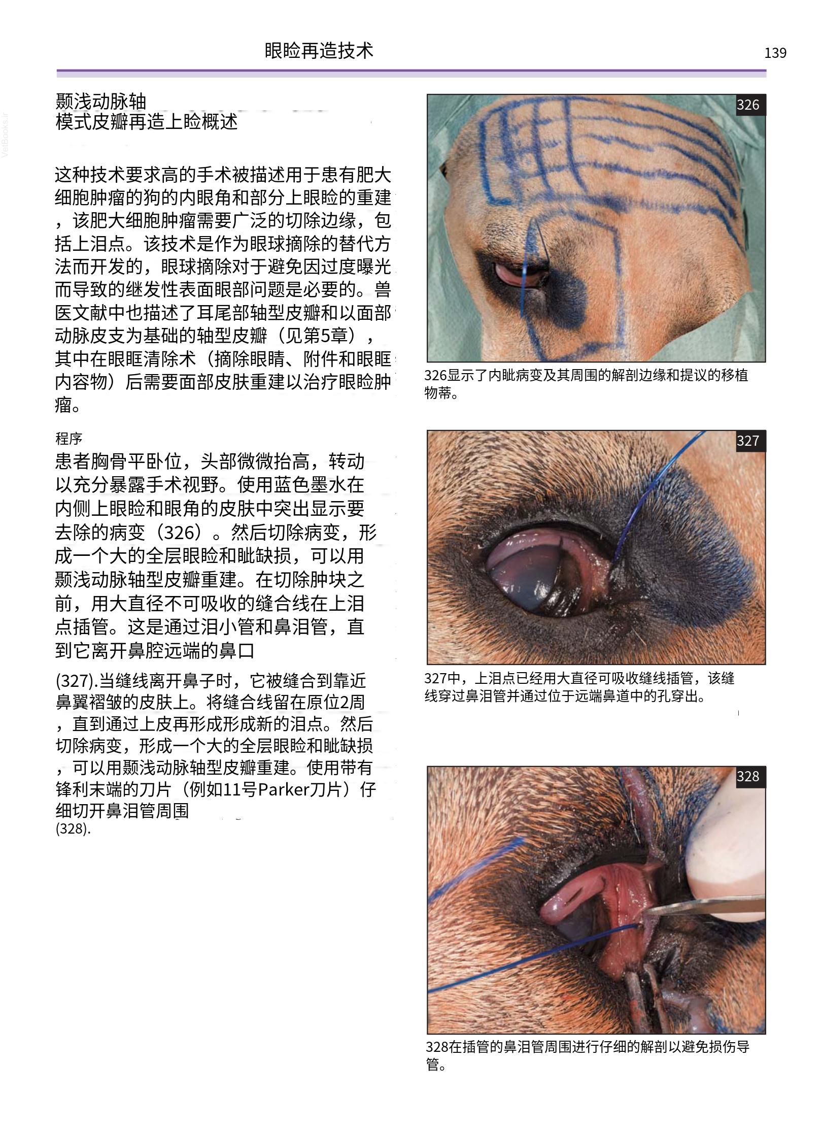 translated.a8c5a3760bed415983298318b0ec0541_140.png