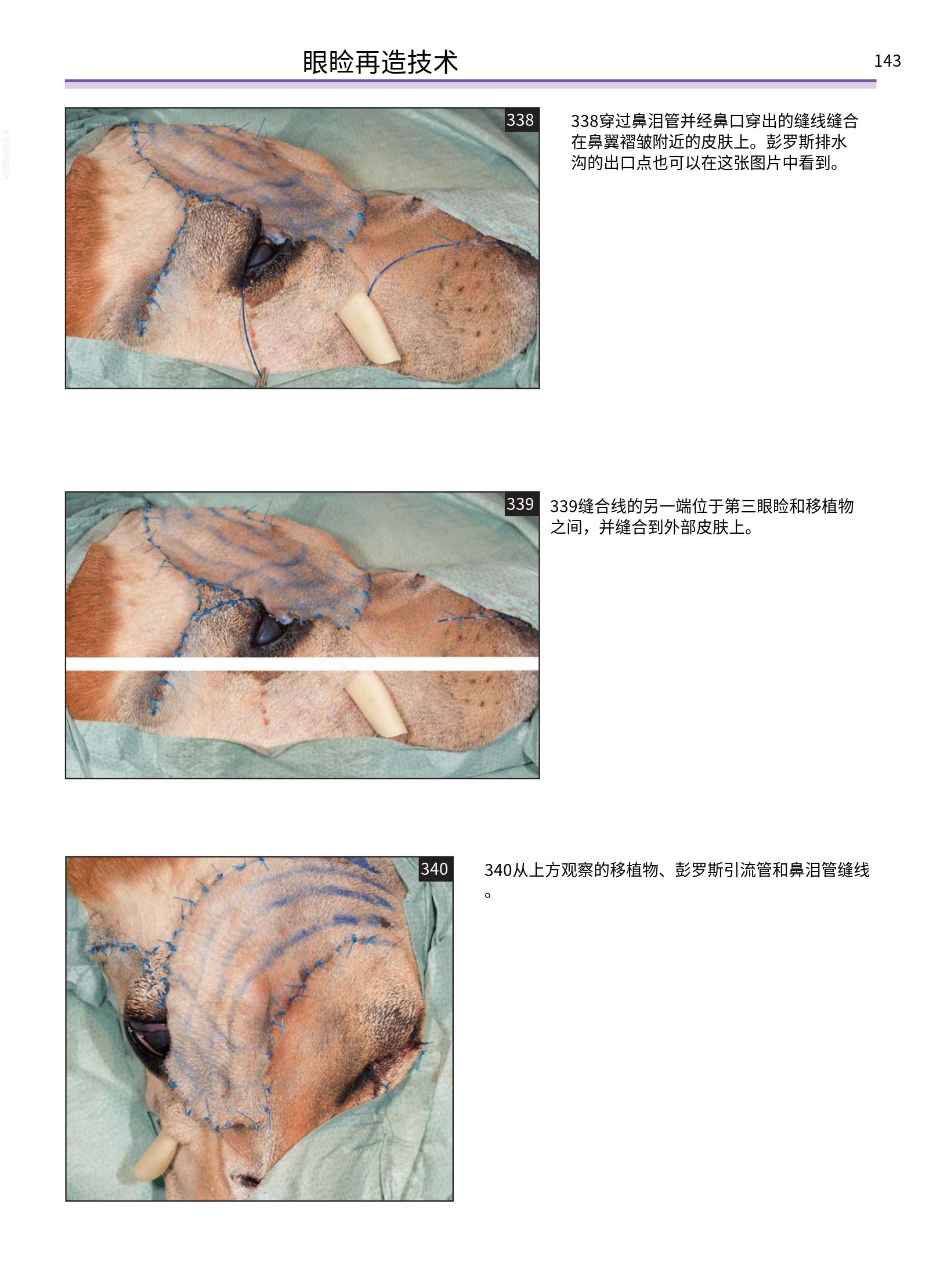 translated.a8c5a3760bed415983298318b0ec0541_144.png
