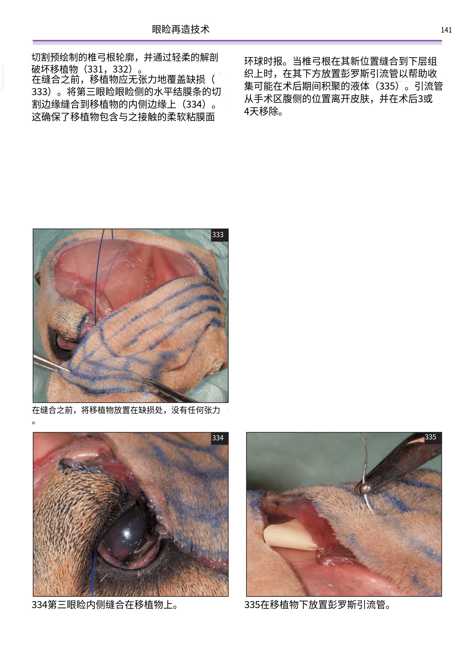 translated.a8c5a3760bed415983298318b0ec0541_142.png