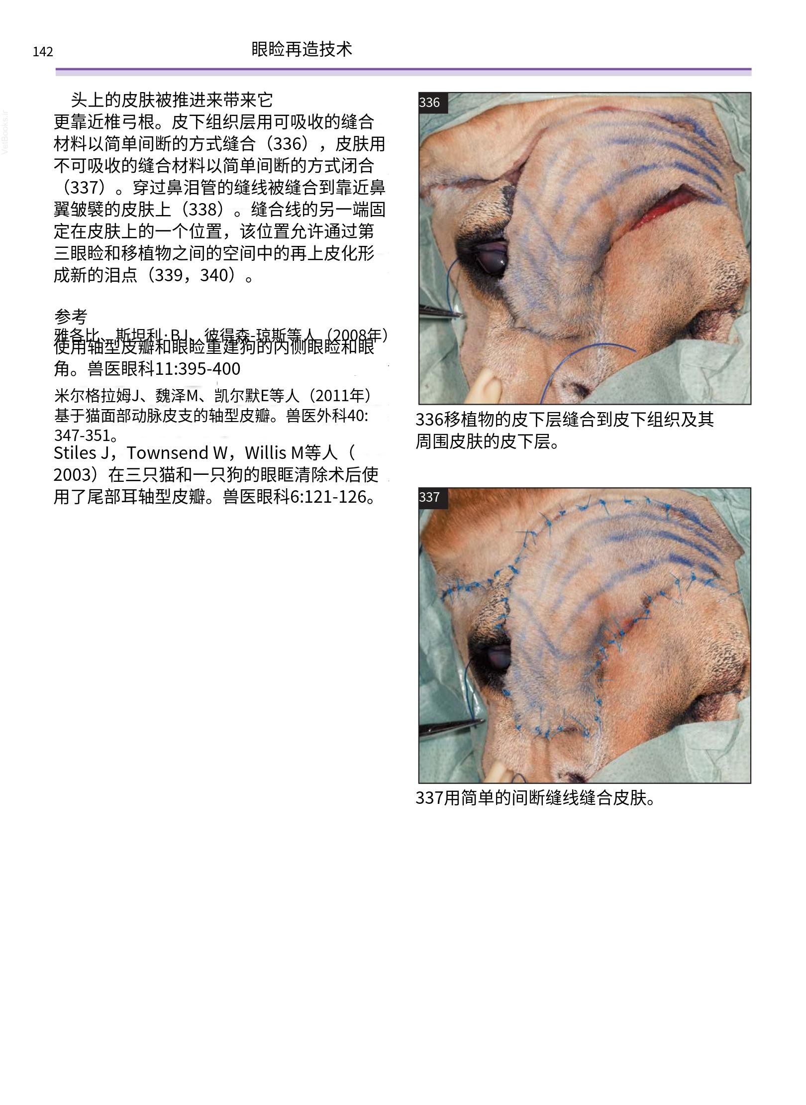translated.a8c5a3760bed415983298318b0ec0541_143.png