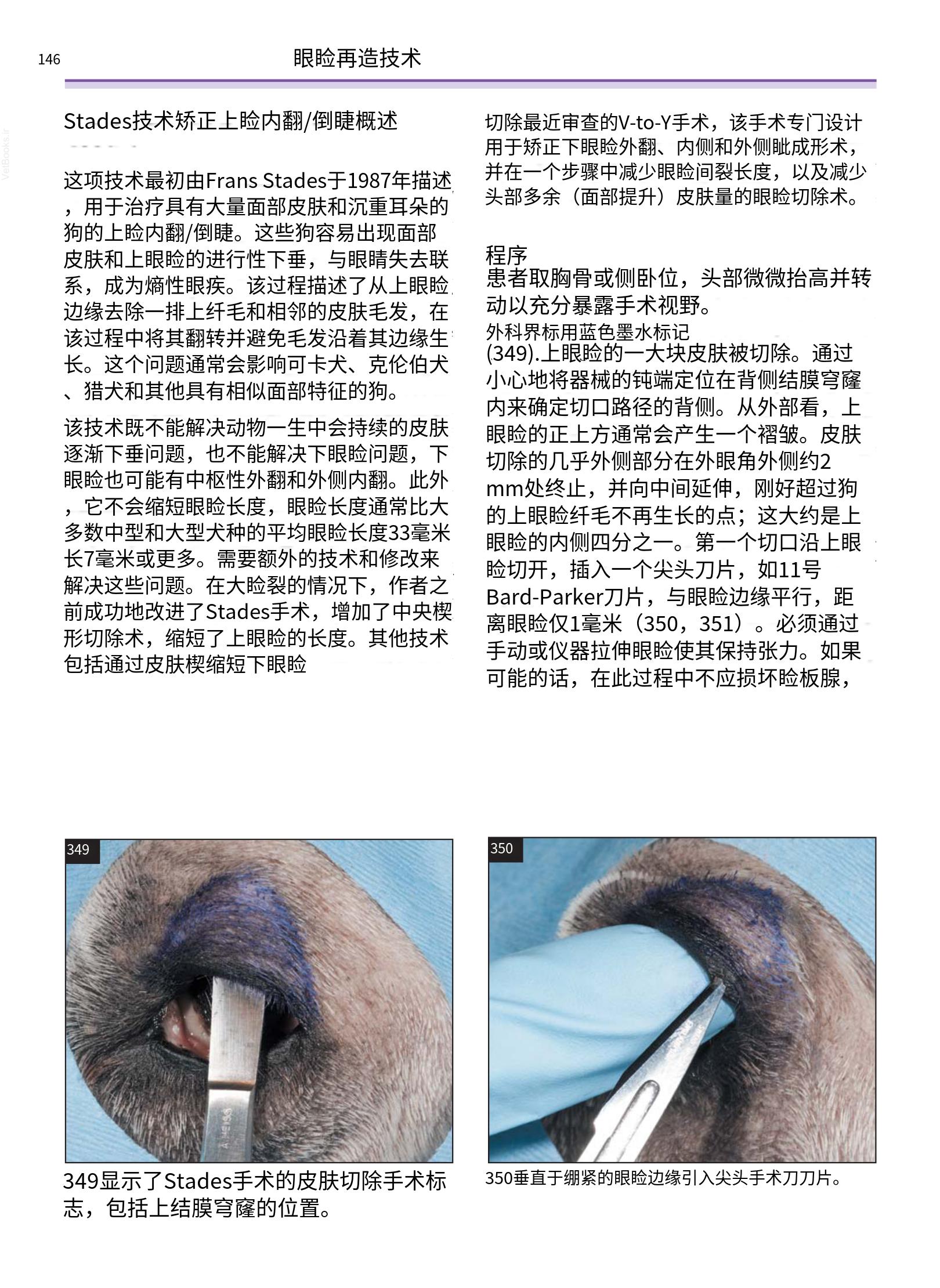 translated.a8c5a3760bed415983298318b0ec0541_147.png