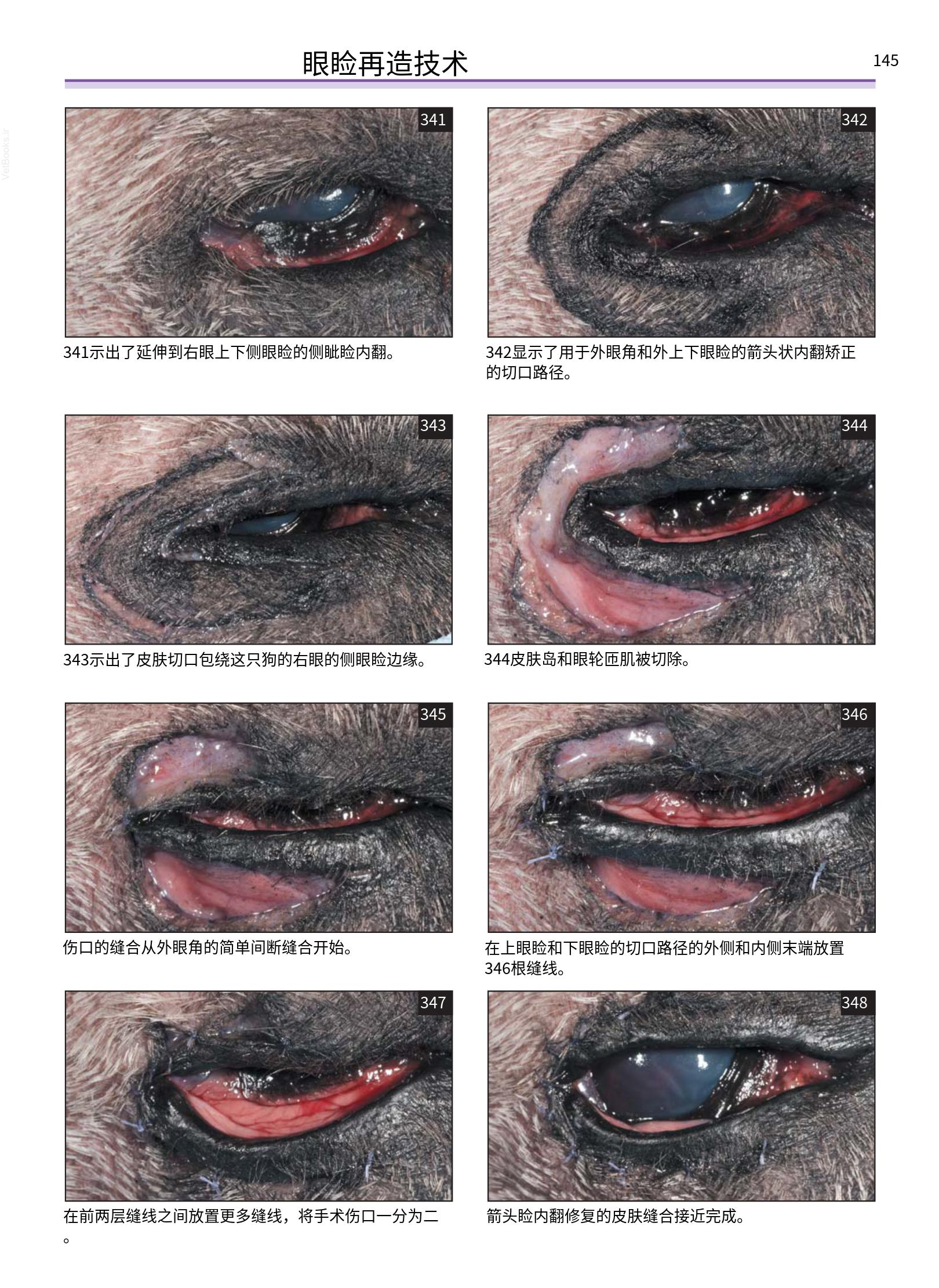 translated.a8c5a3760bed415983298318b0ec0541_146.png