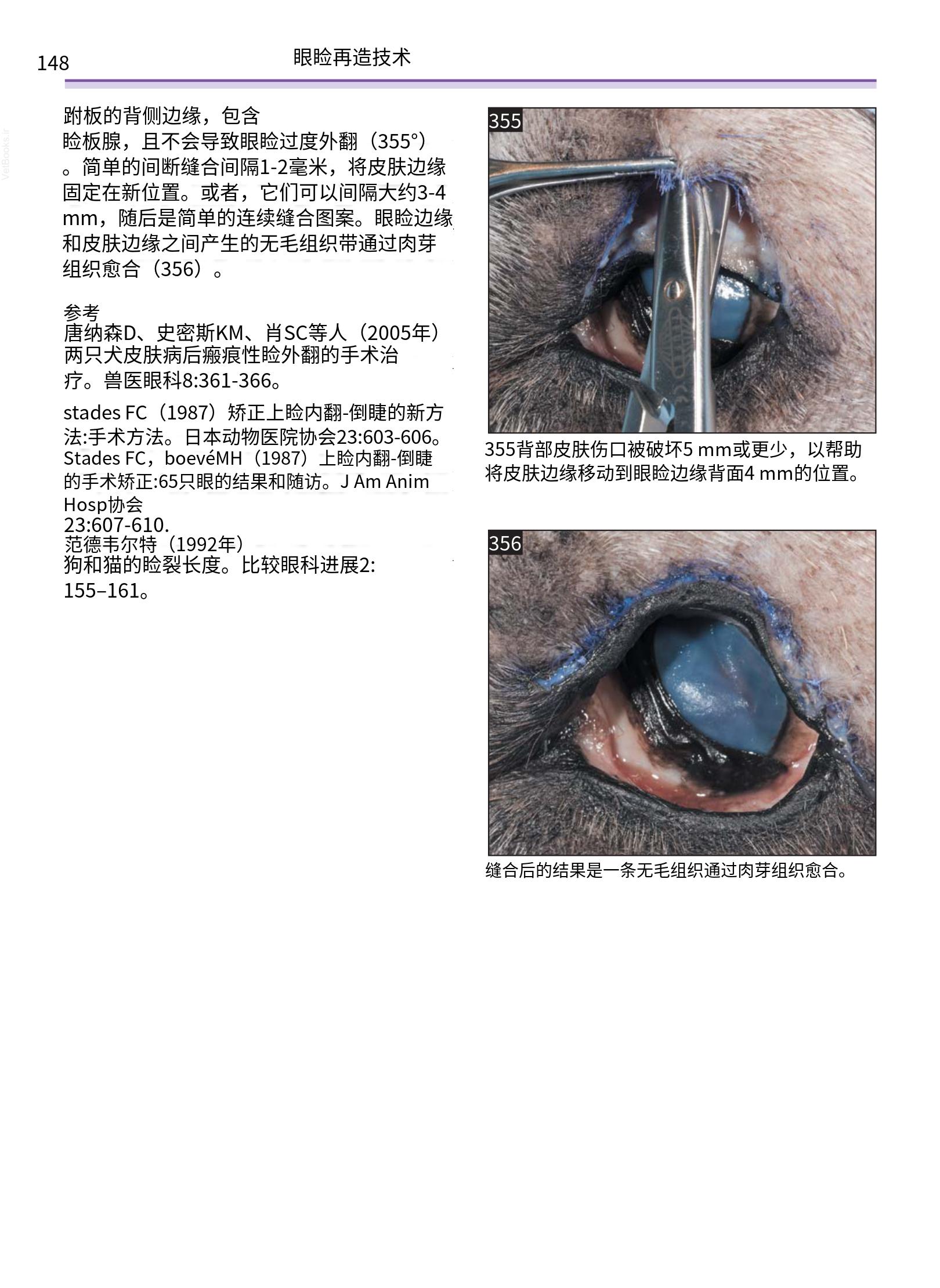 translated.a8c5a3760bed415983298318b0ec0541_149.png