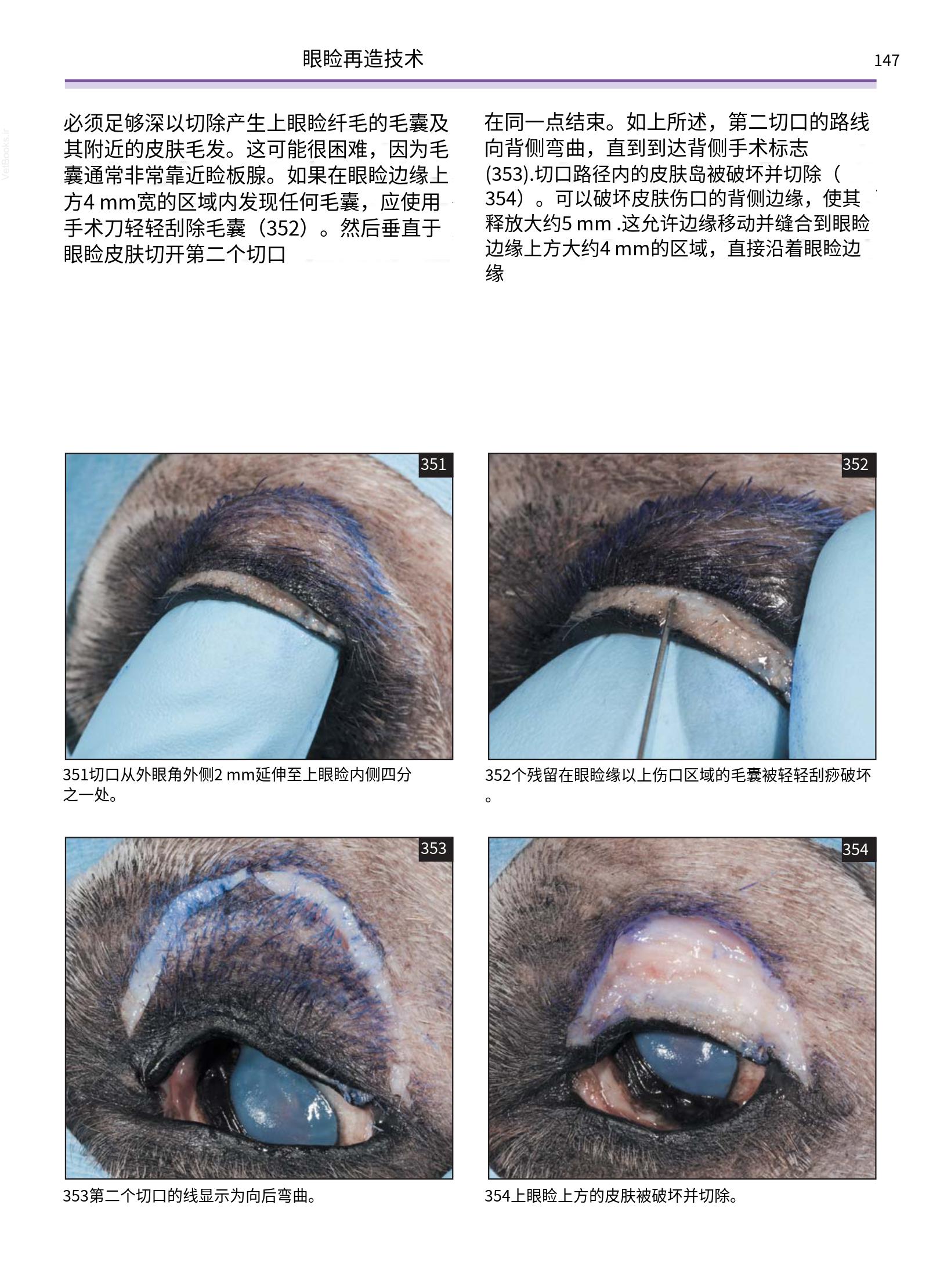translated.a8c5a3760bed415983298318b0ec0541_148.png