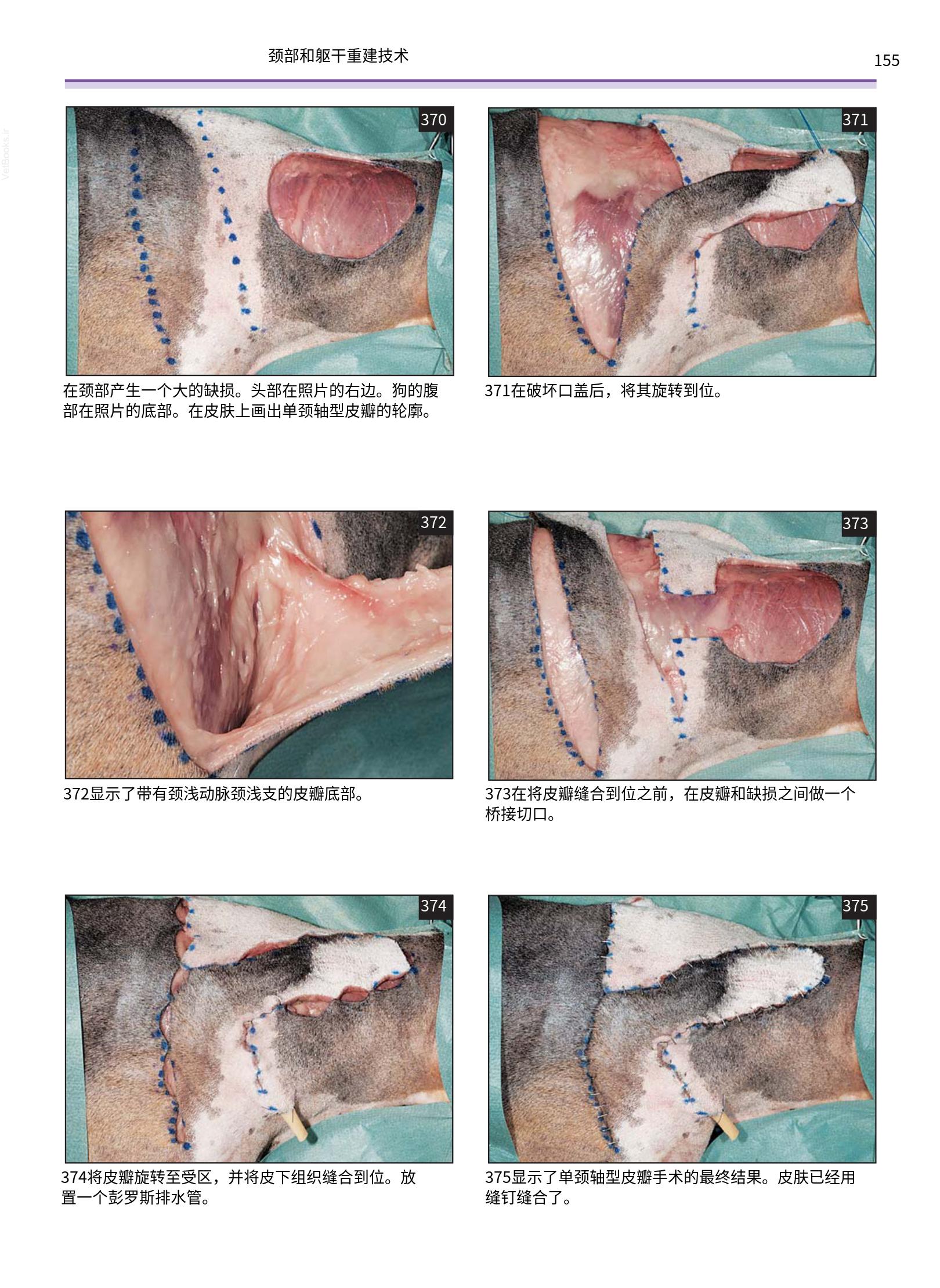 translated.a8c5a3760bed415983298318b0ec0541_156.png