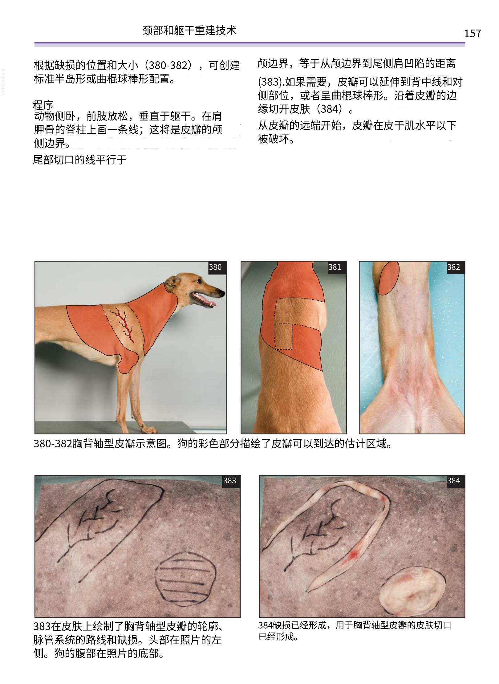 translated.a8c5a3760bed415983298318b0ec0541_158.png