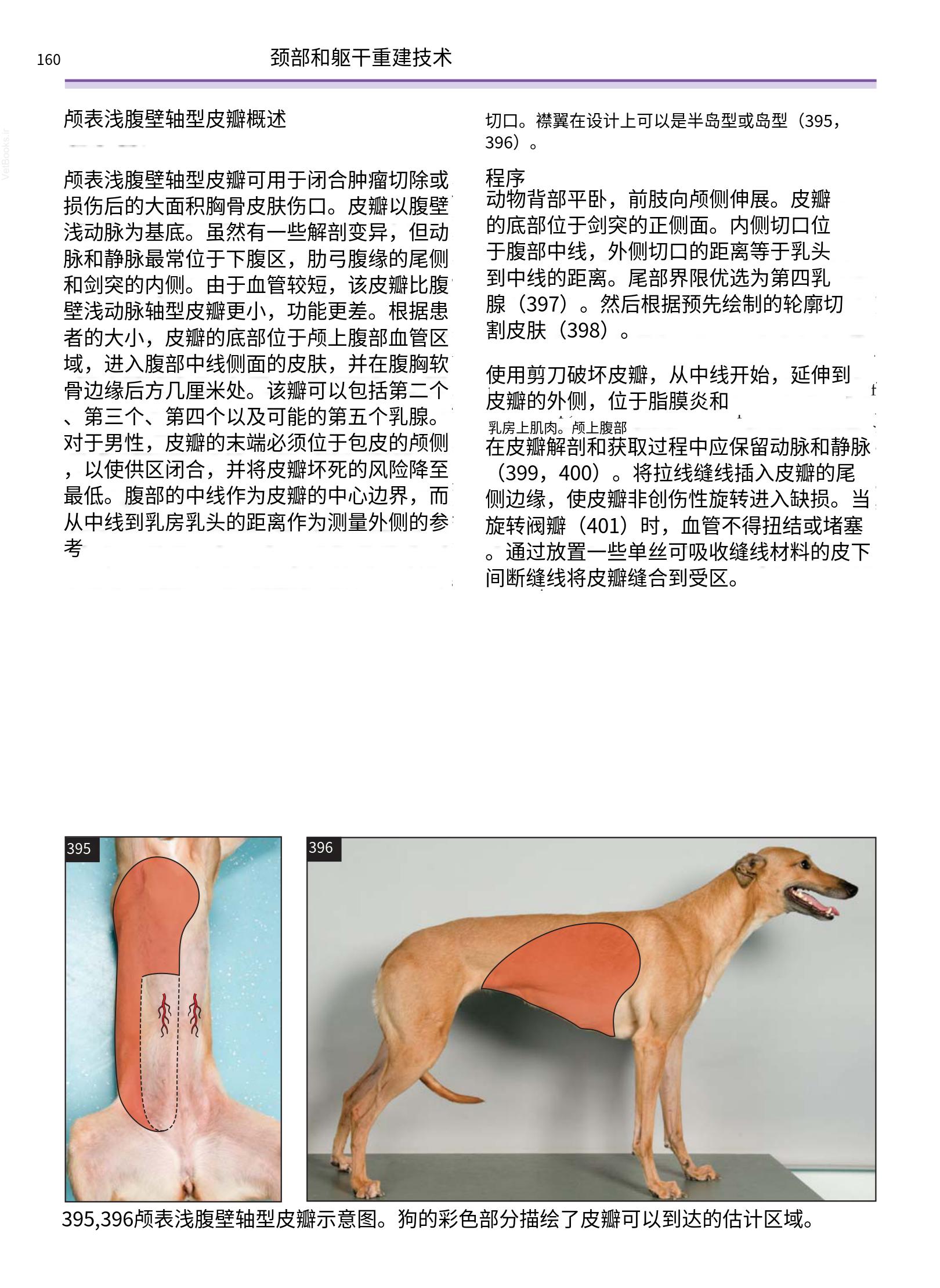 translated.a8c5a3760bed415983298318b0ec0541_161.png