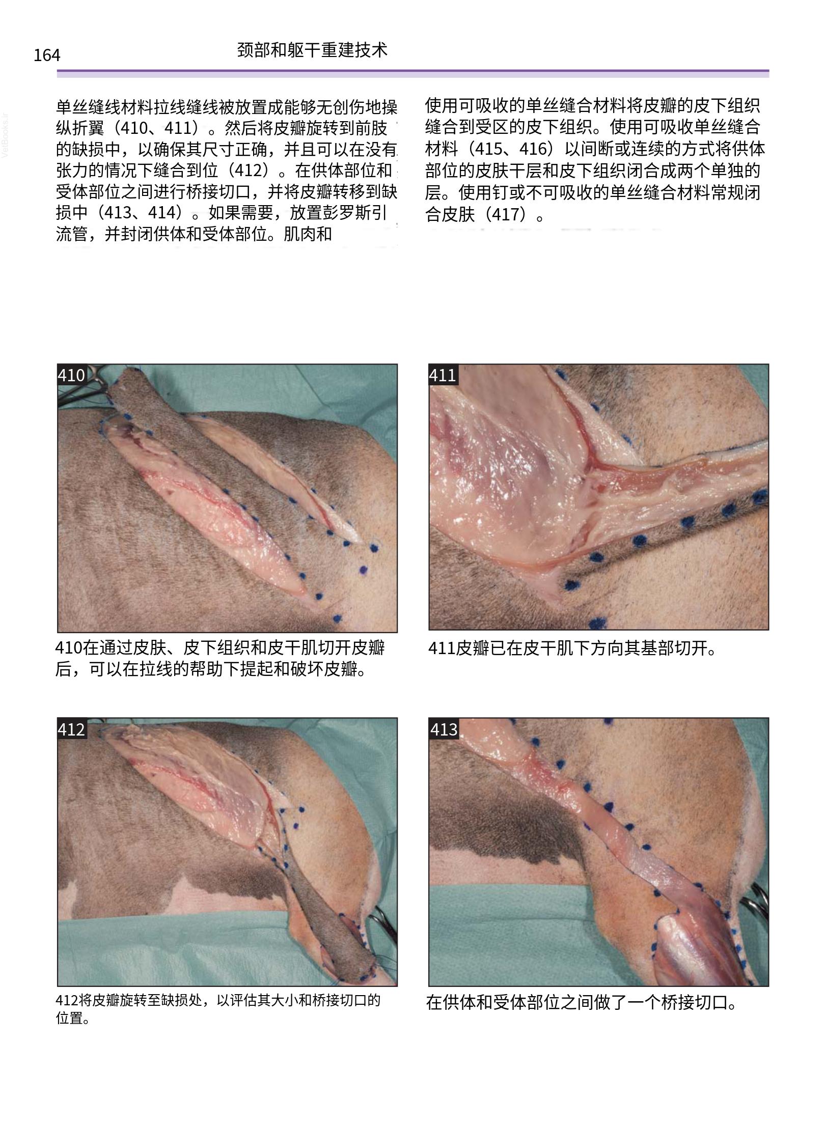 translated.a8c5a3760bed415983298318b0ec0541_165.png