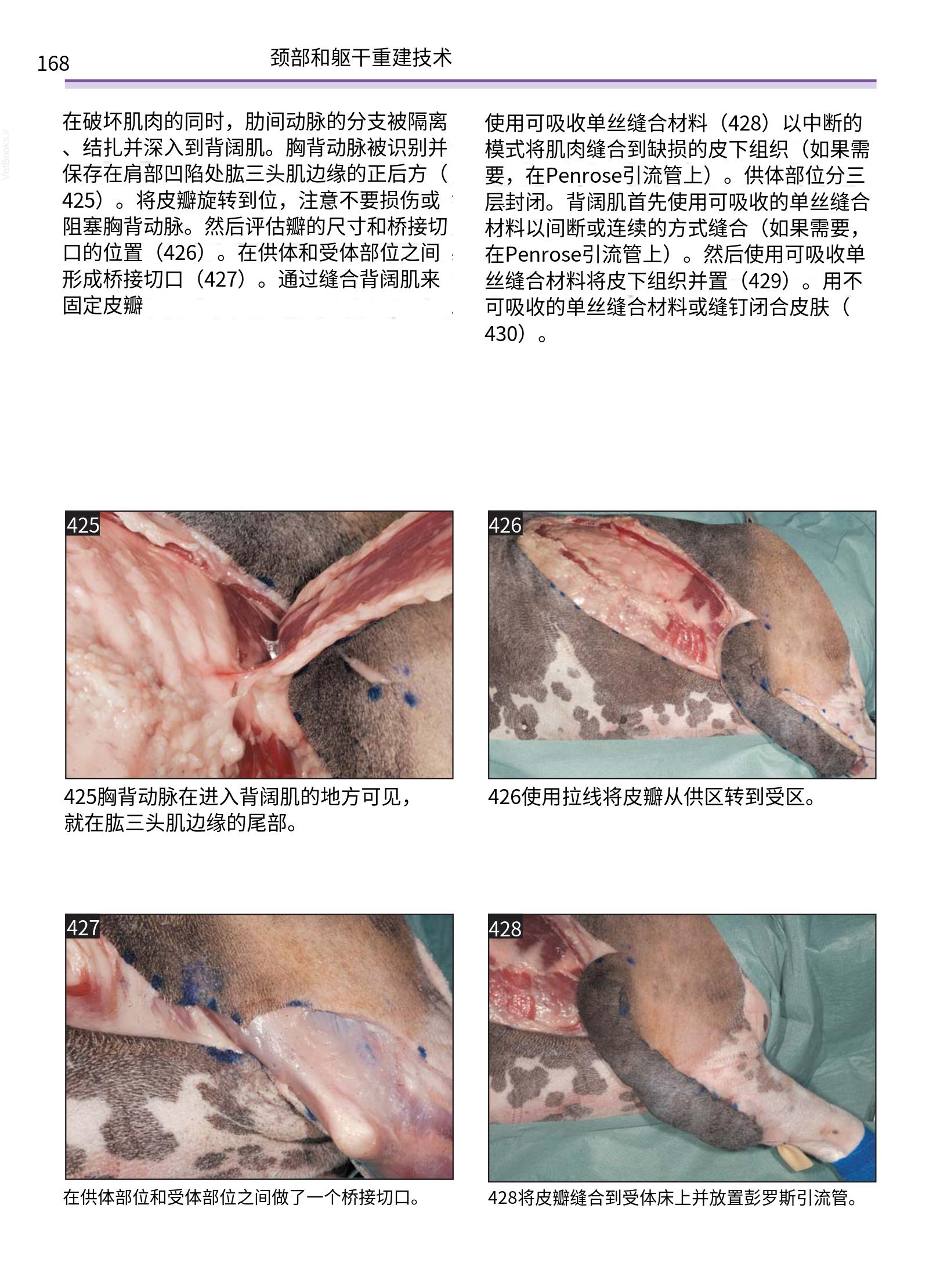 translated.a8c5a3760bed415983298318b0ec0541_169.png