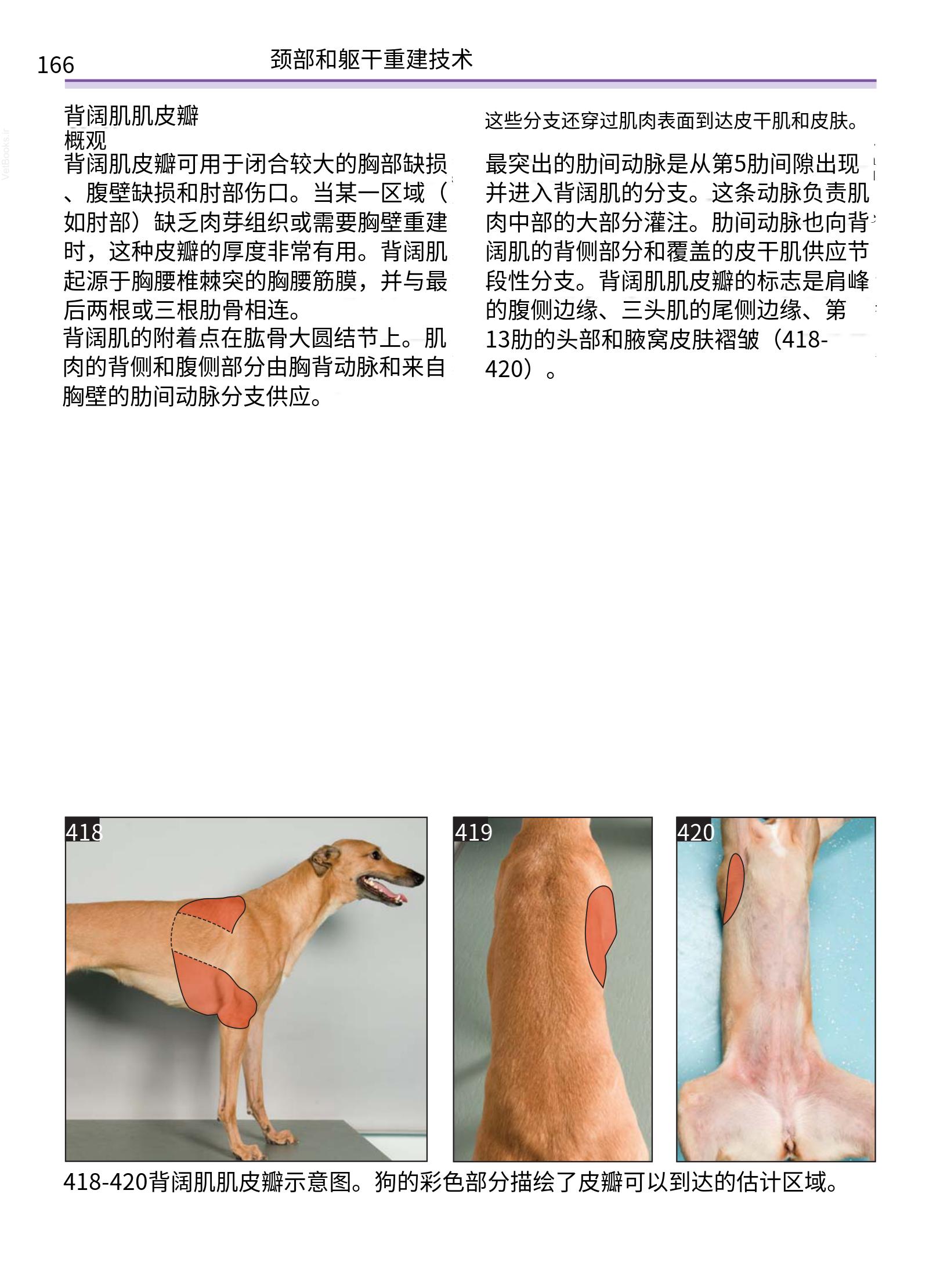 translated.a8c5a3760bed415983298318b0ec0541_167 (1).png