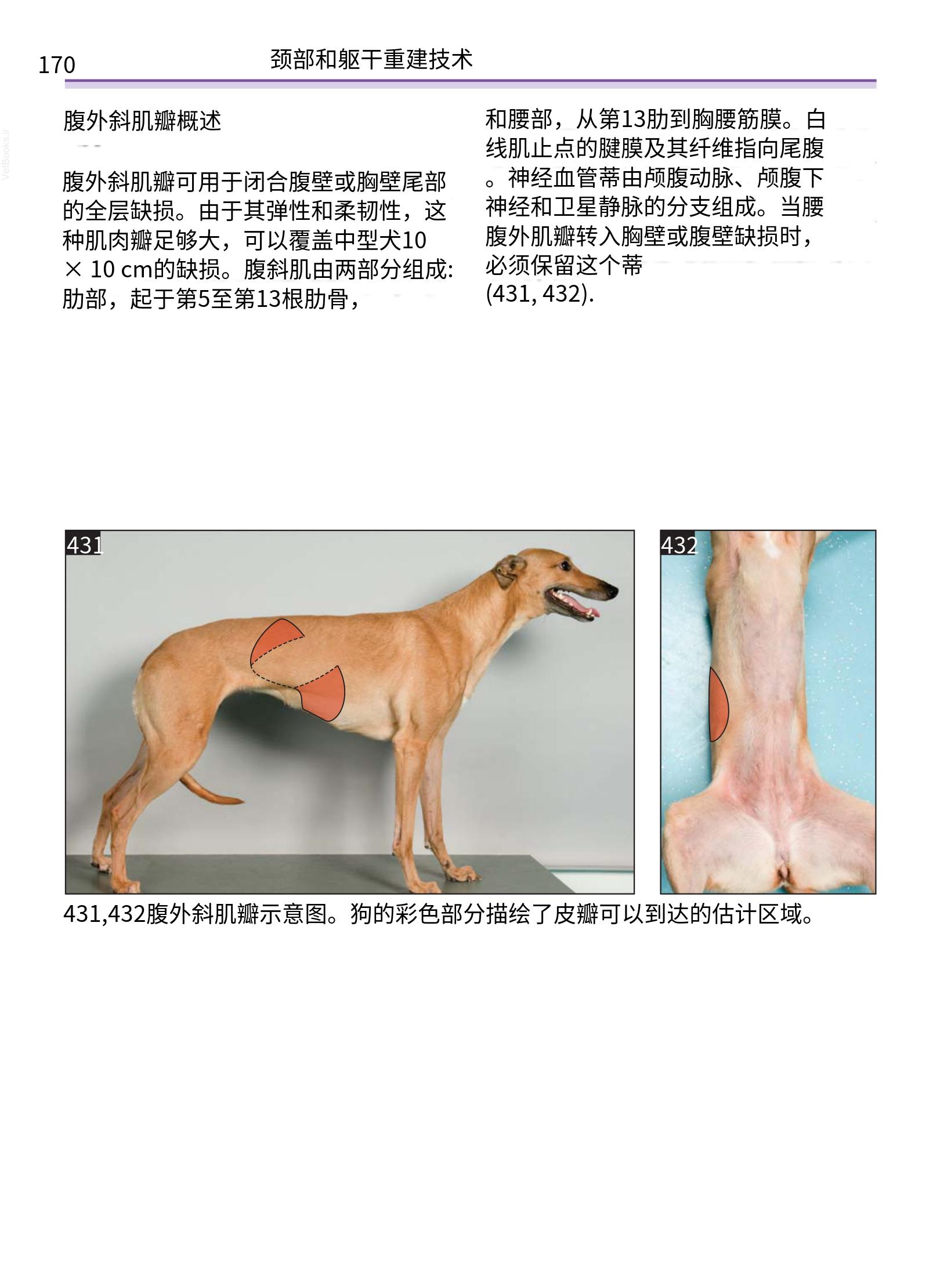 translated.a8c5a3760bed415983298318b0ec0541_171.png
