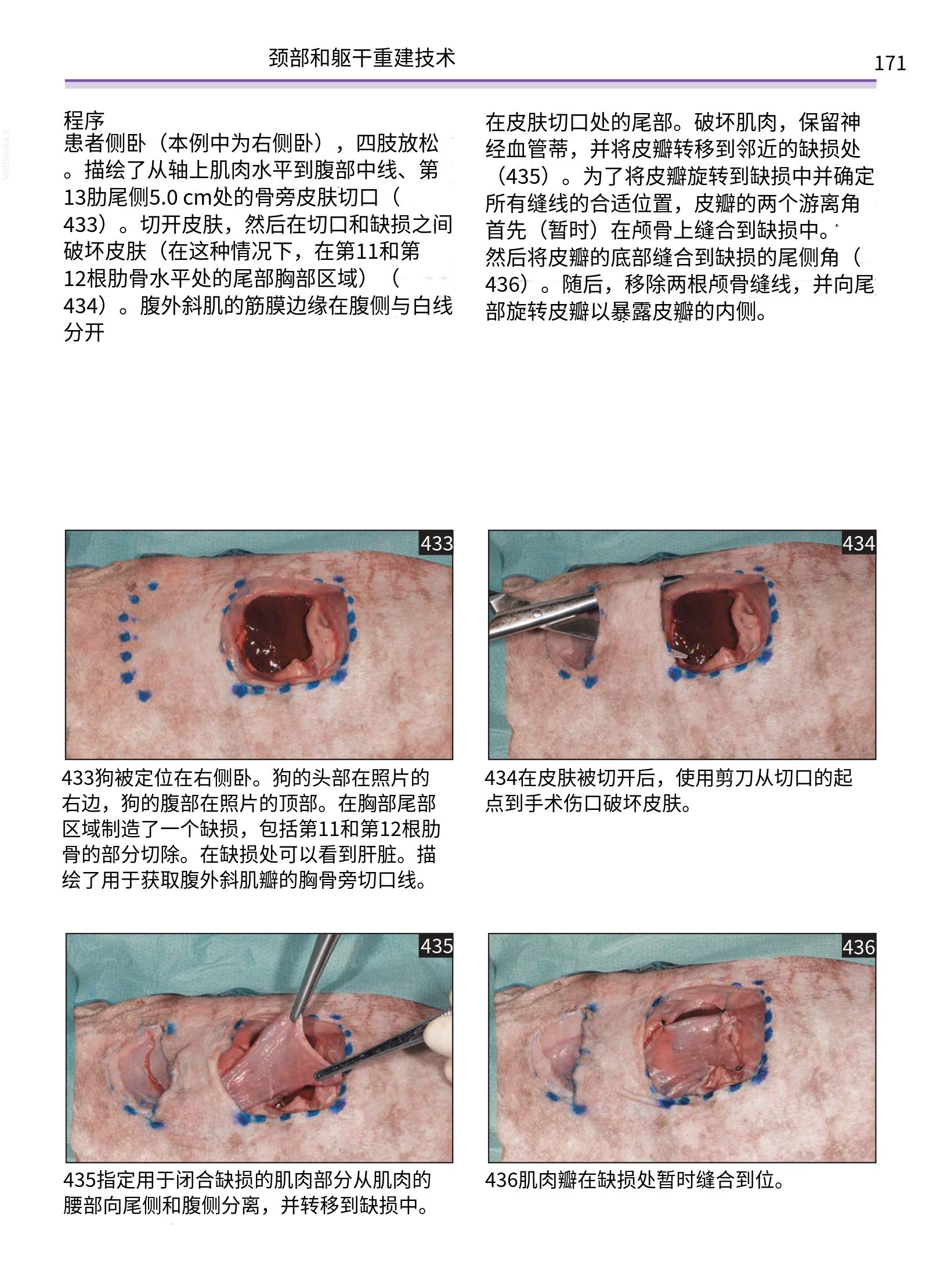 translated.a8c5a3760bed415983298318b0ec0541_172.png