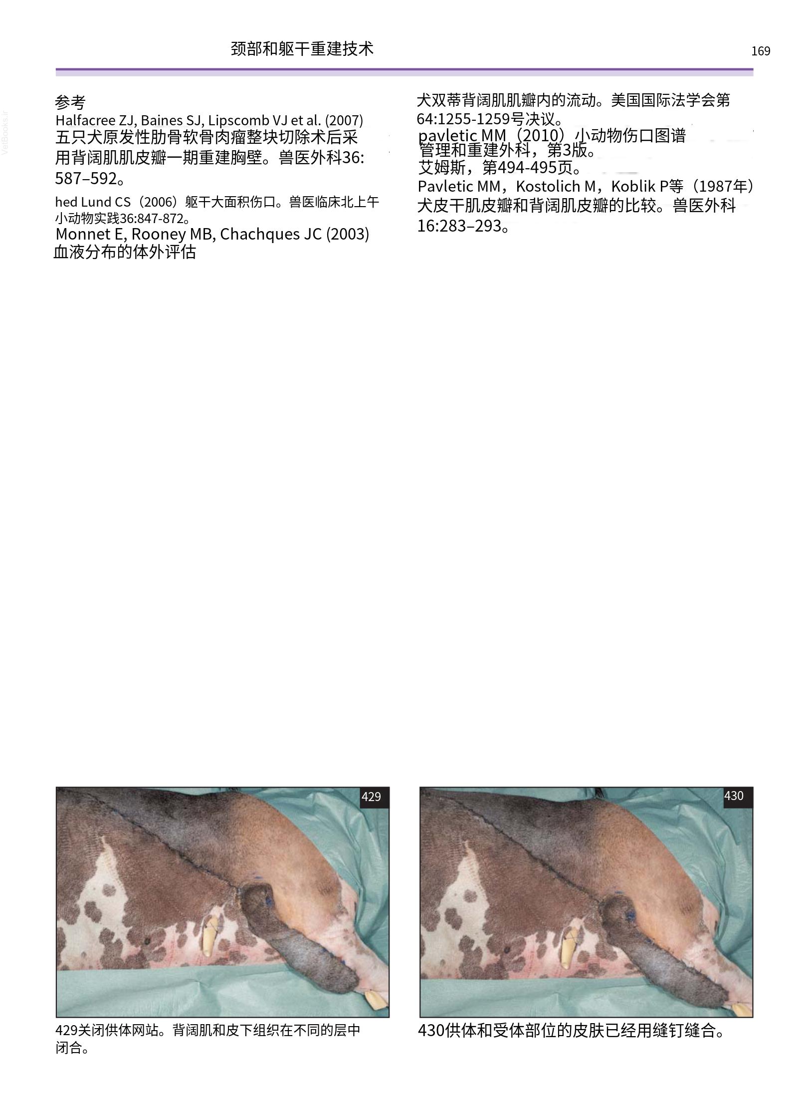 translated.a8c5a3760bed415983298318b0ec0541_170.png