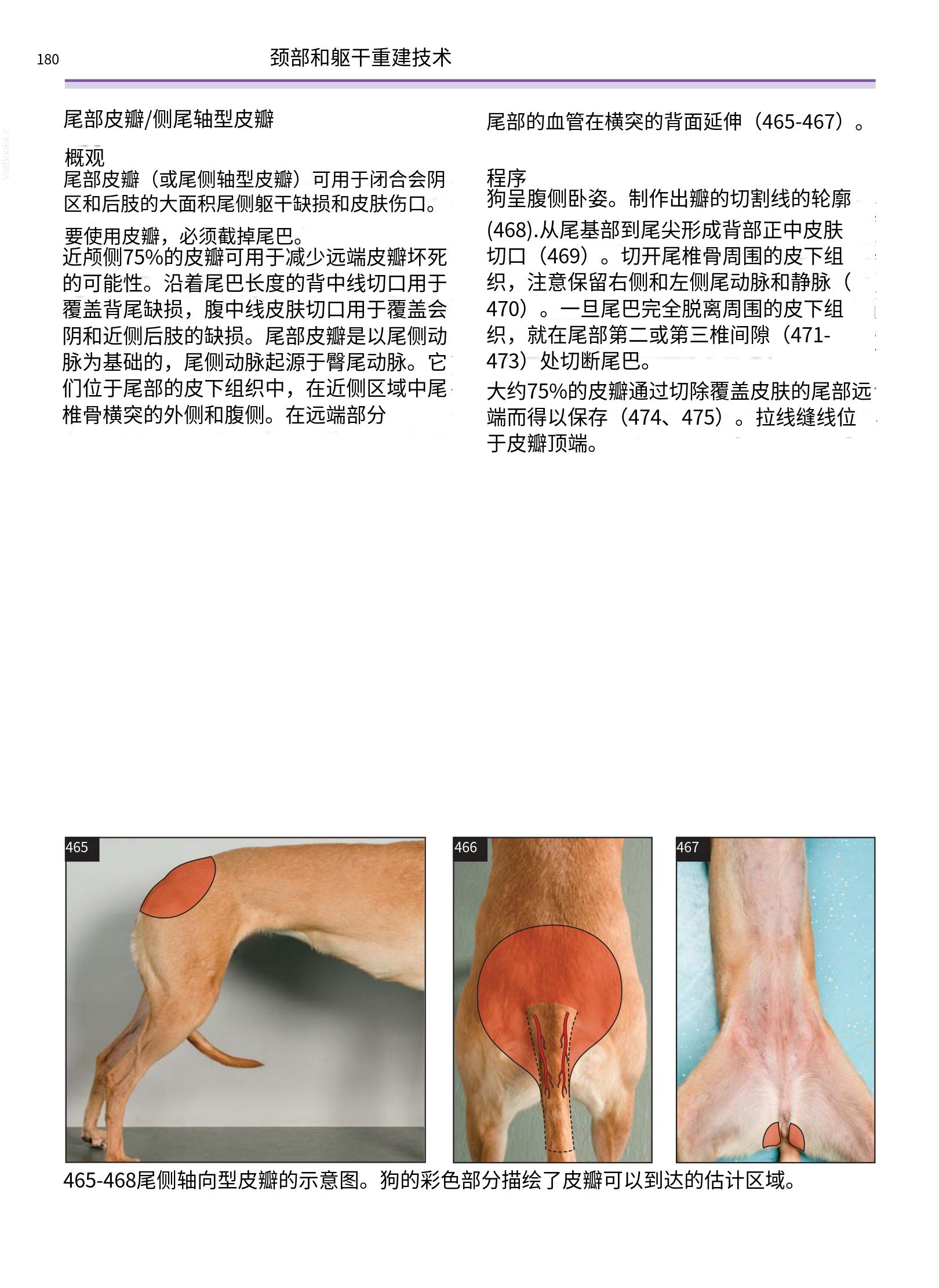 translated.a8c5a3760bed415983298318b0ec0541_181.png
