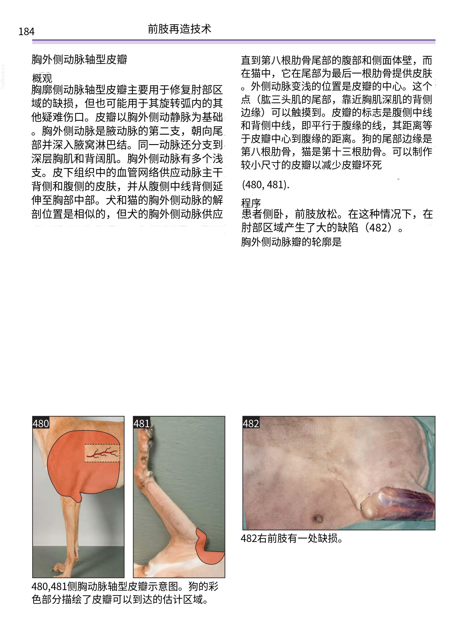 translated.a8c5a3760bed415983298318b0ec0541_185.png