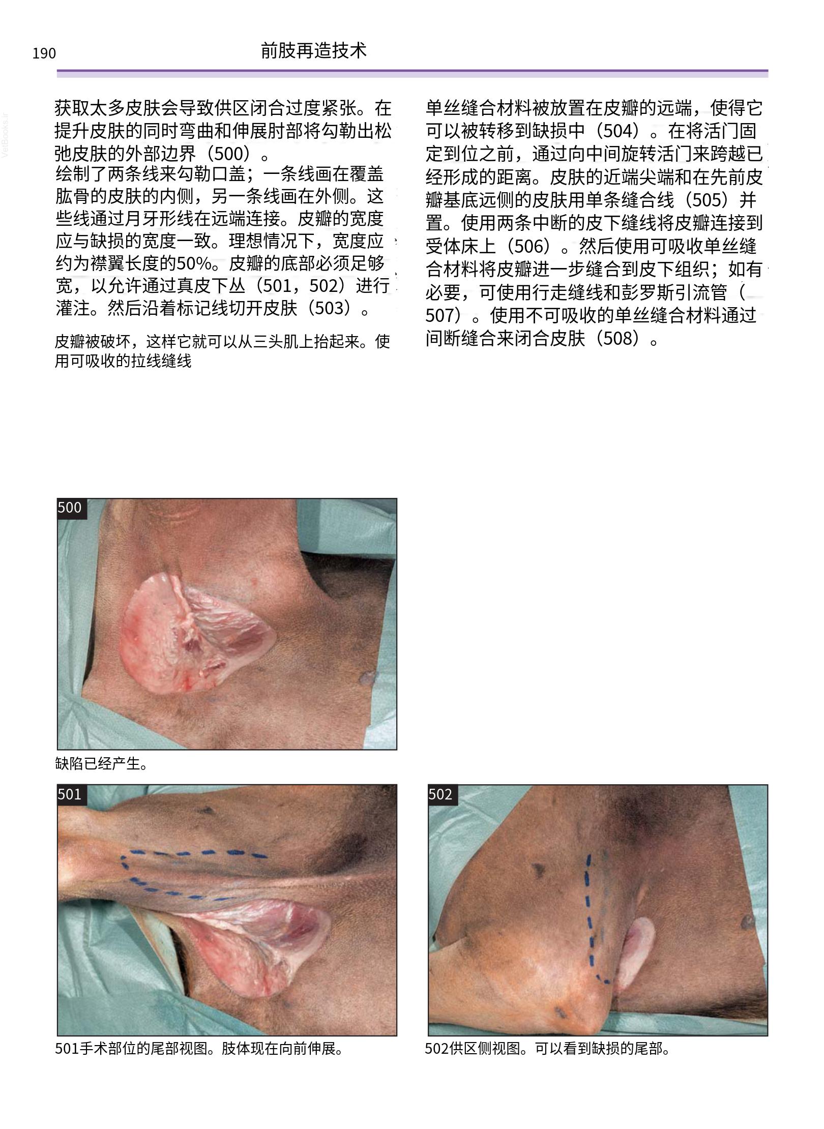 translated.a8c5a3760bed415983298318b0ec0541_191.png