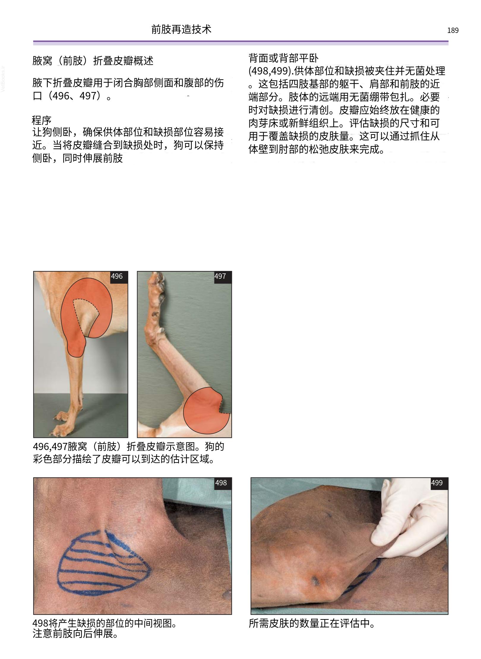 translated.a8c5a3760bed415983298318b0ec0541_190.png