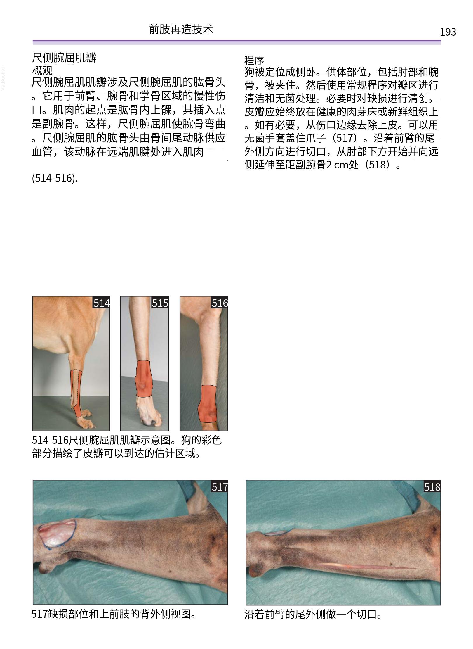 translated.a8c5a3760bed415983298318b0ec0541_194.png