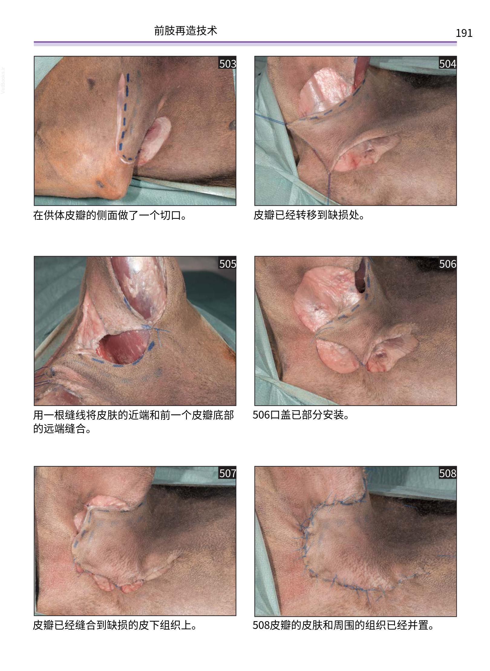 translated.a8c5a3760bed415983298318b0ec0541_192.png