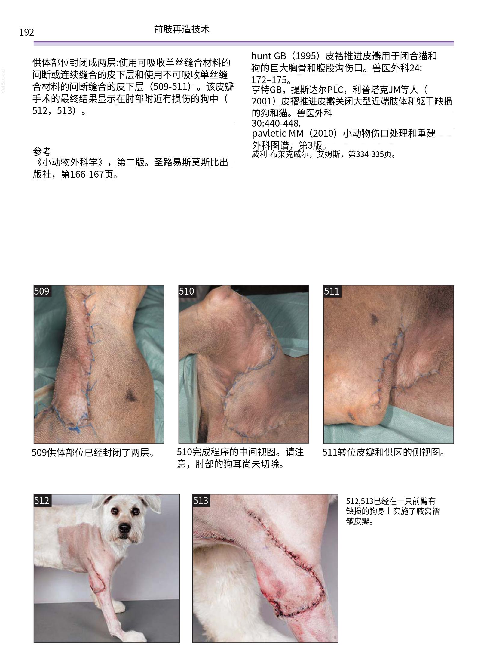 translated.a8c5a3760bed415983298318b0ec0541_193.png