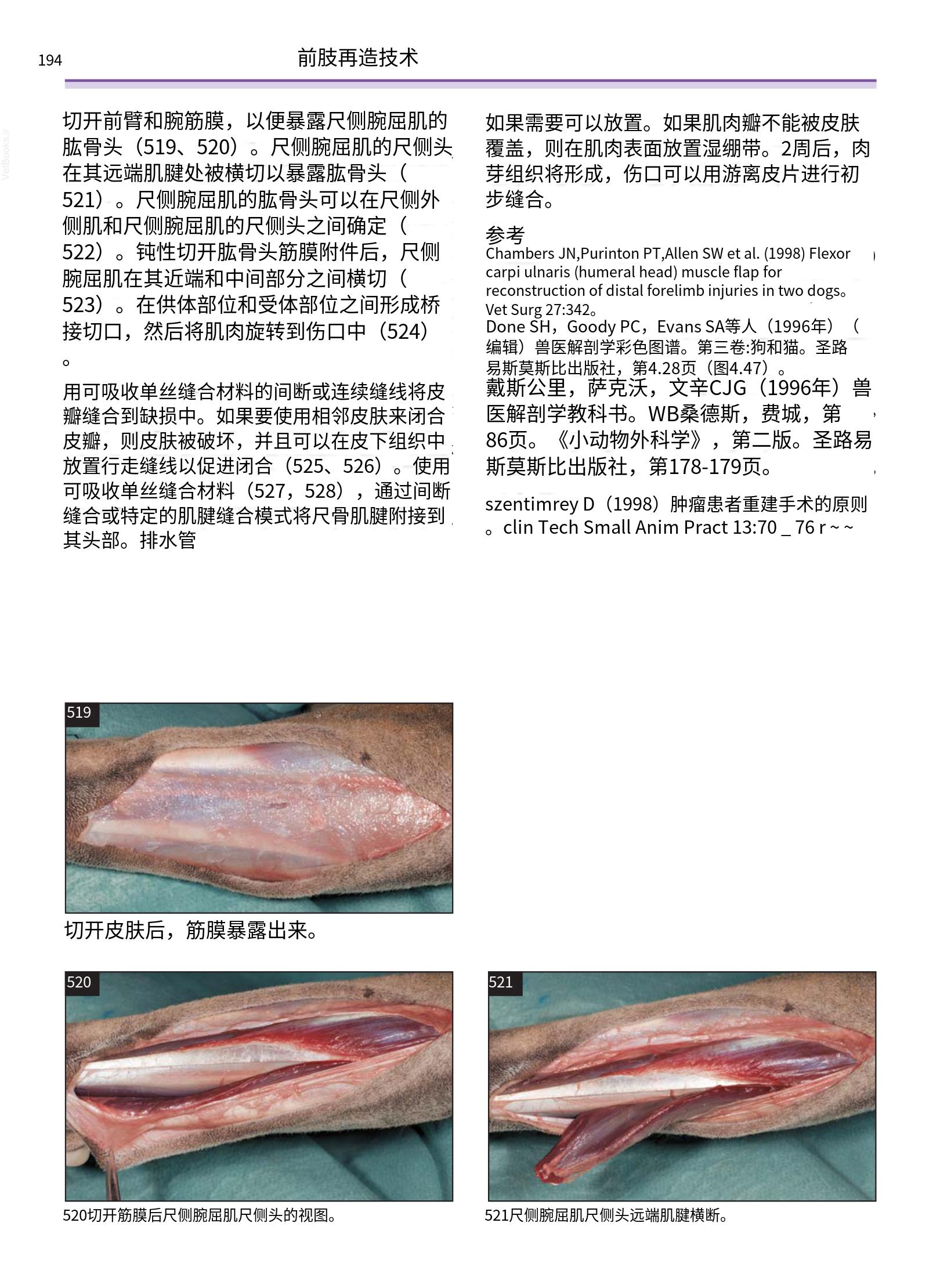 translated.a8c5a3760bed415983298318b0ec0541_195.png
