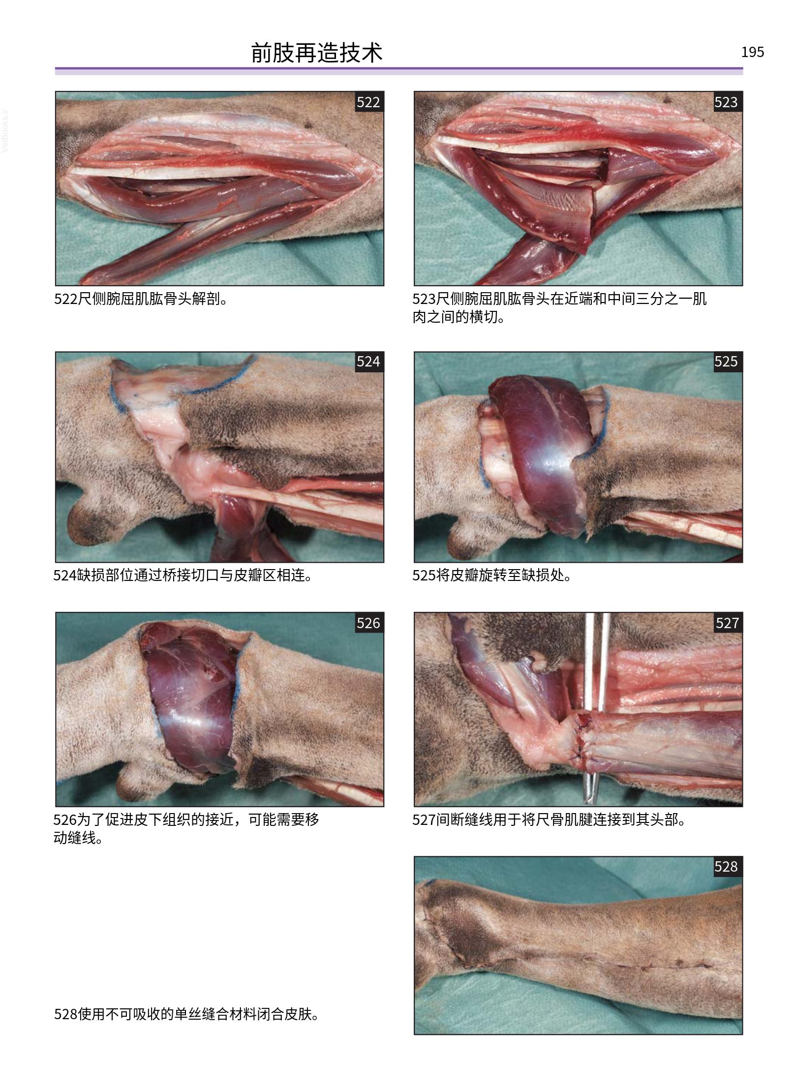 translated.a8c5a3760bed415983298318b0ec0541_196.png