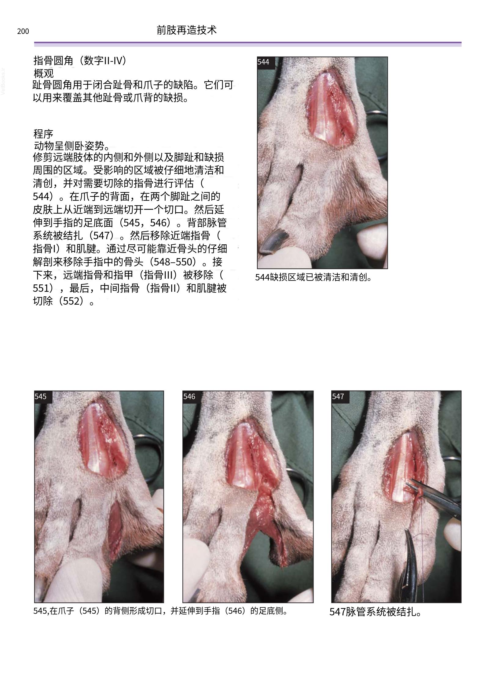 translated.a8c5a3760bed415983298318b0ec0541_201.png