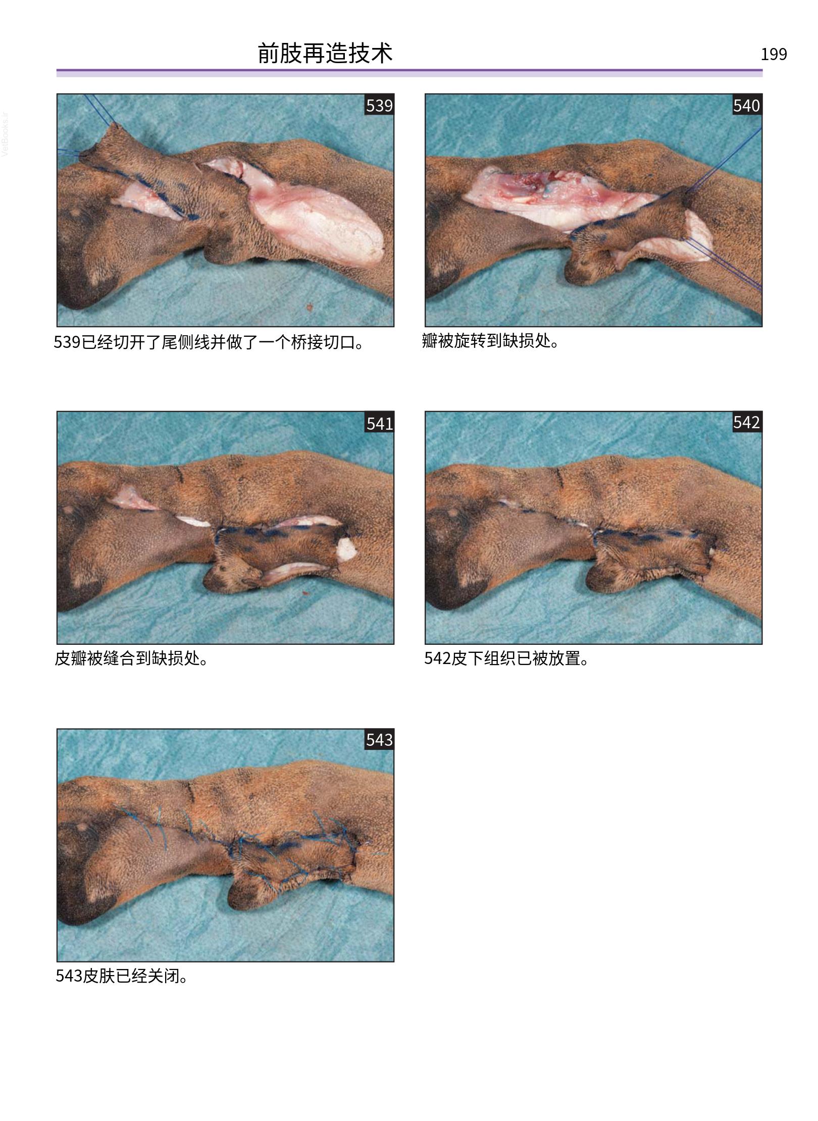 translated.a8c5a3760bed415983298318b0ec0541_200.png