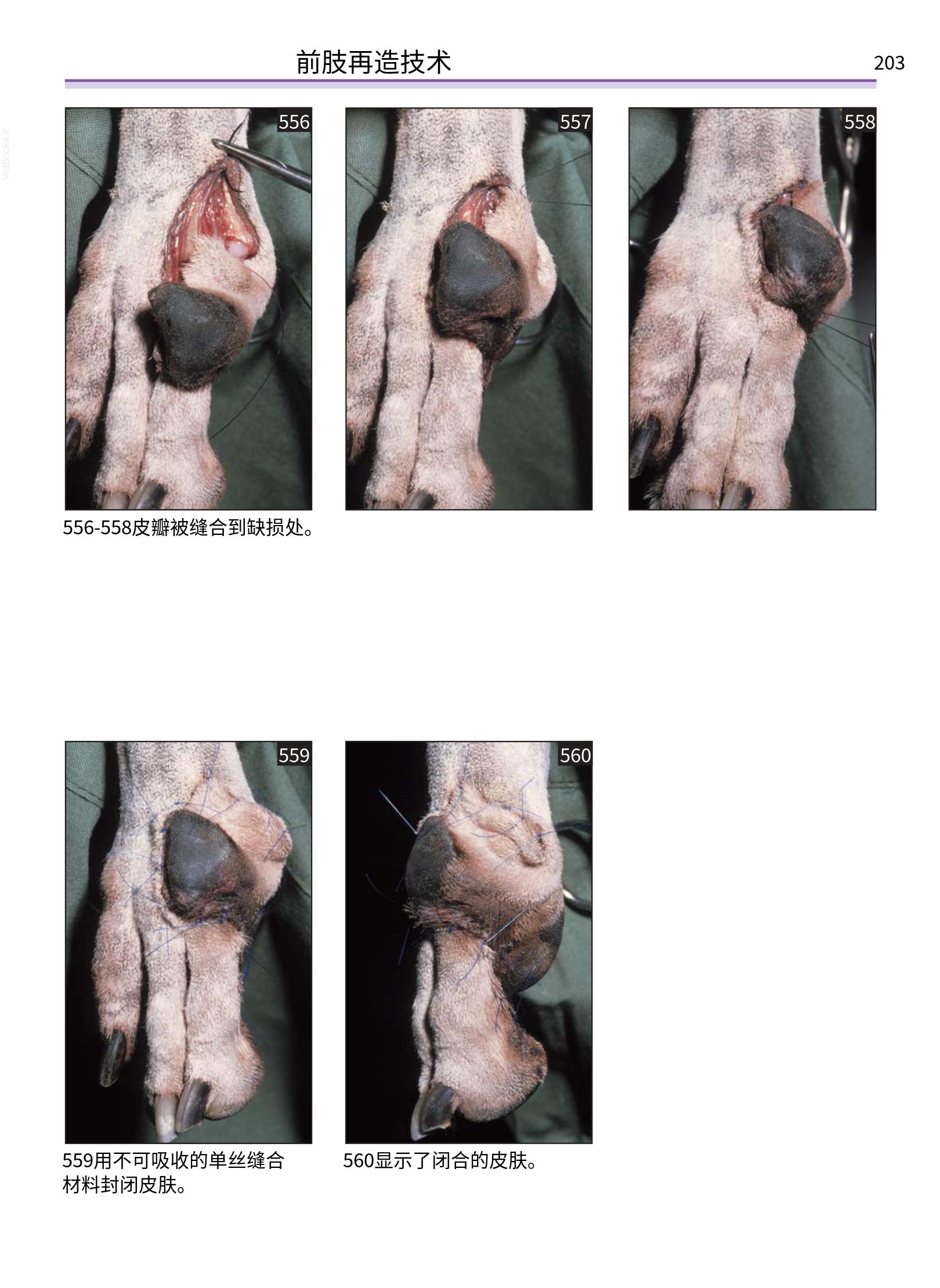 translated.a8c5a3760bed415983298318b0ec0541_204.png