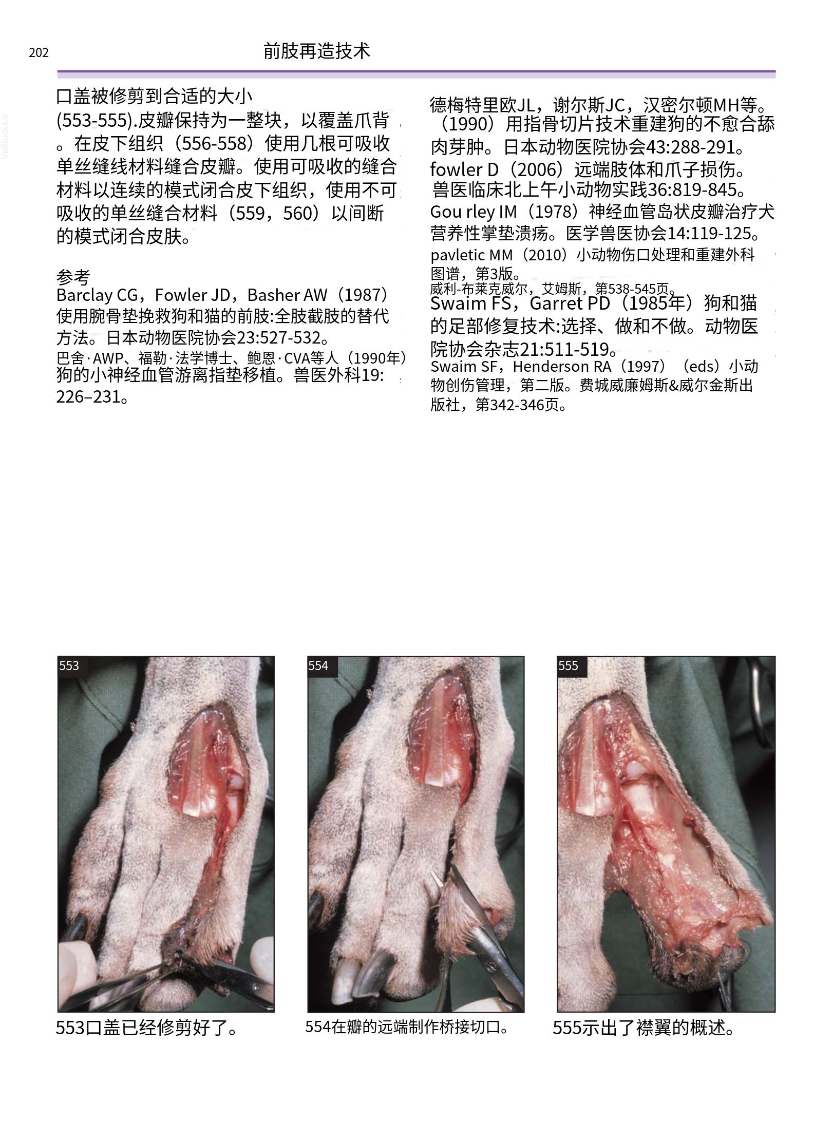 translated.a8c5a3760bed415983298318b0ec0541_203.png