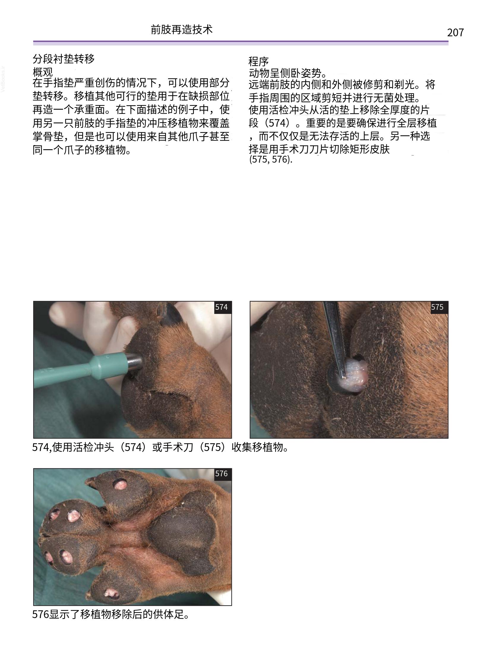 translated.a8c5a3760bed415983298318b0ec0541_208.png