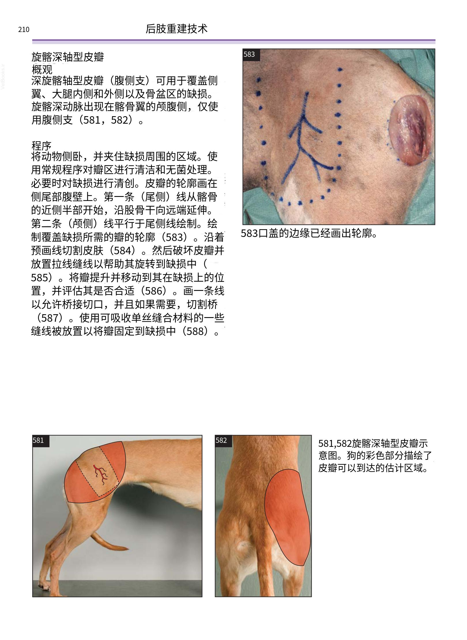translated.a8c5a3760bed415983298318b0ec0541_211.png