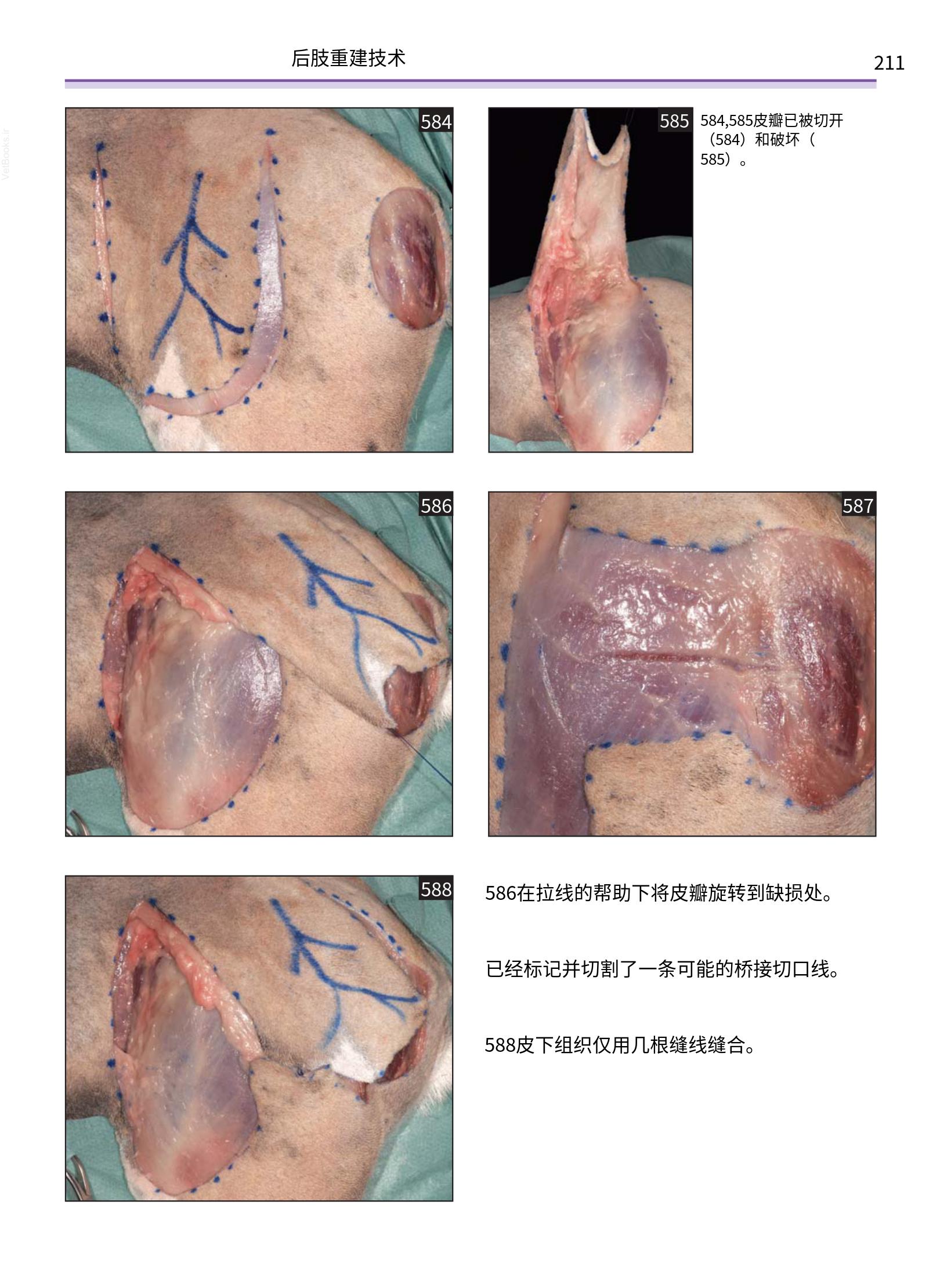 translated.a8c5a3760bed415983298318b0ec0541_212.png