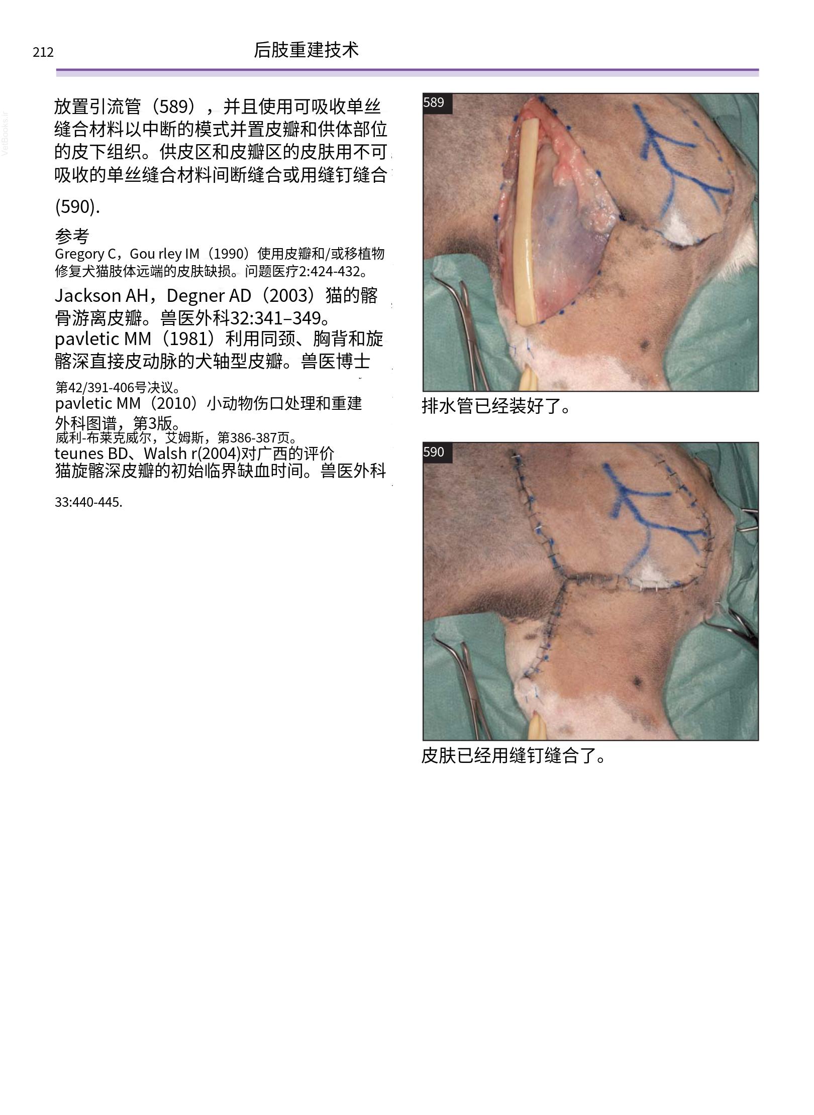 translated.a8c5a3760bed415983298318b0ec0541_213.png
