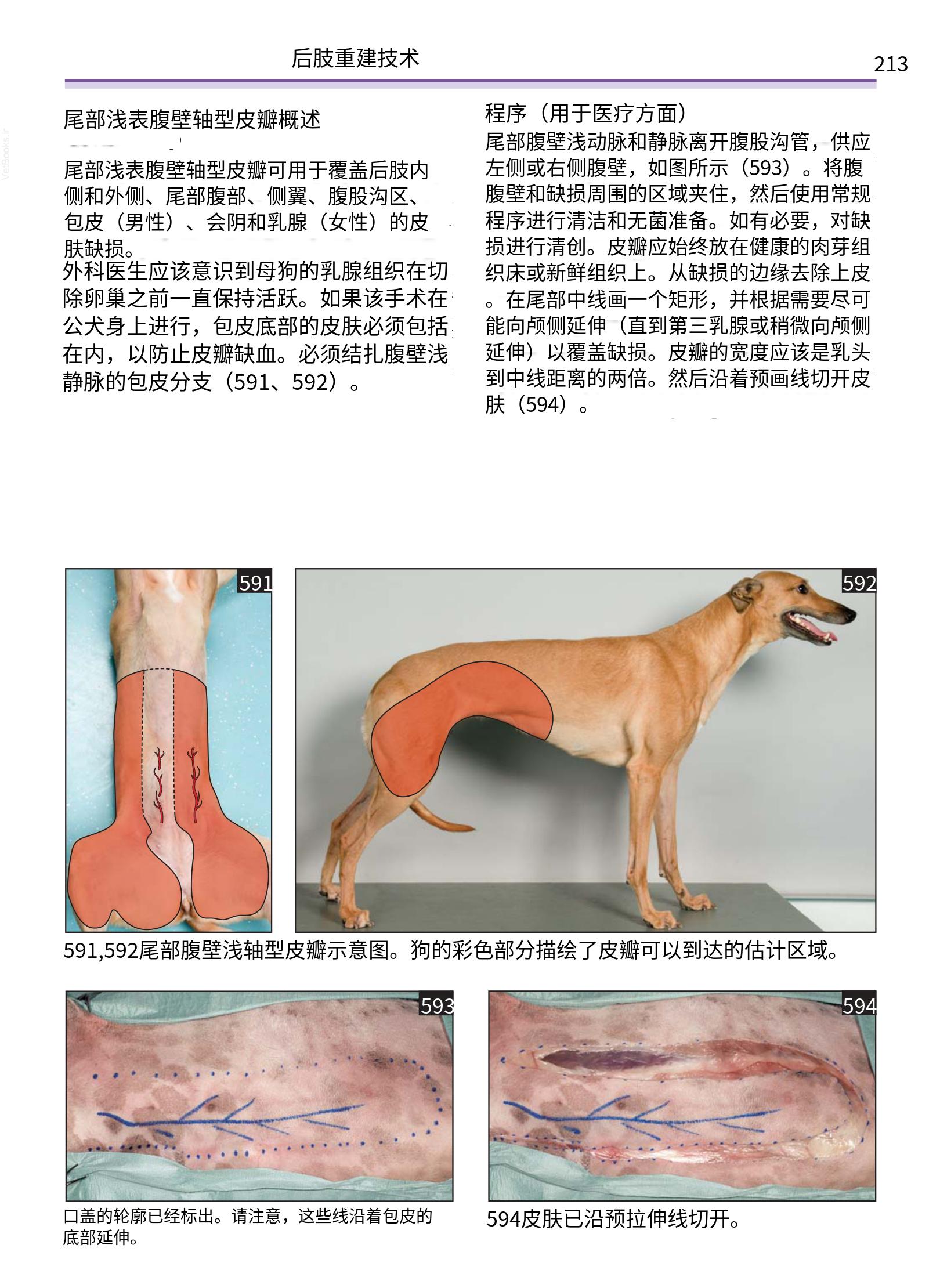 translated.a8c5a3760bed415983298318b0ec0541_214.png