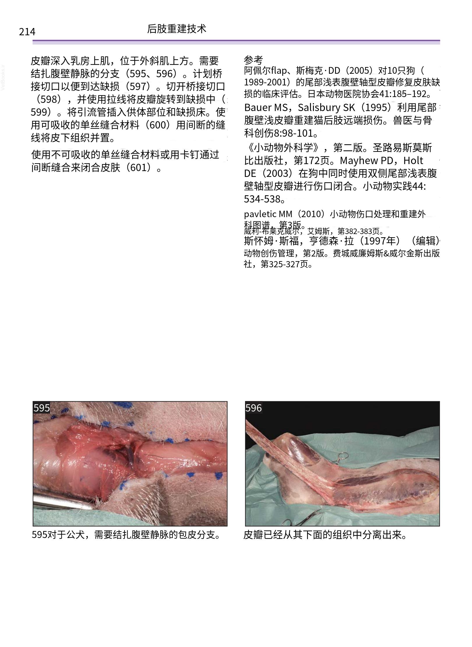 translated.a8c5a3760bed415983298318b0ec0541_215.png