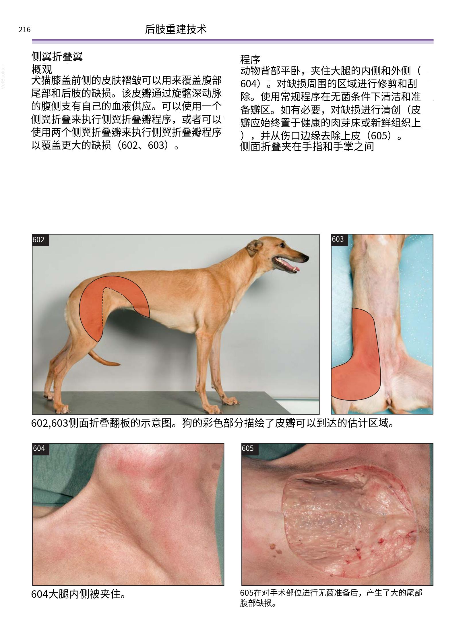 translated.a8c5a3760bed415983298318b0ec0541_217.png