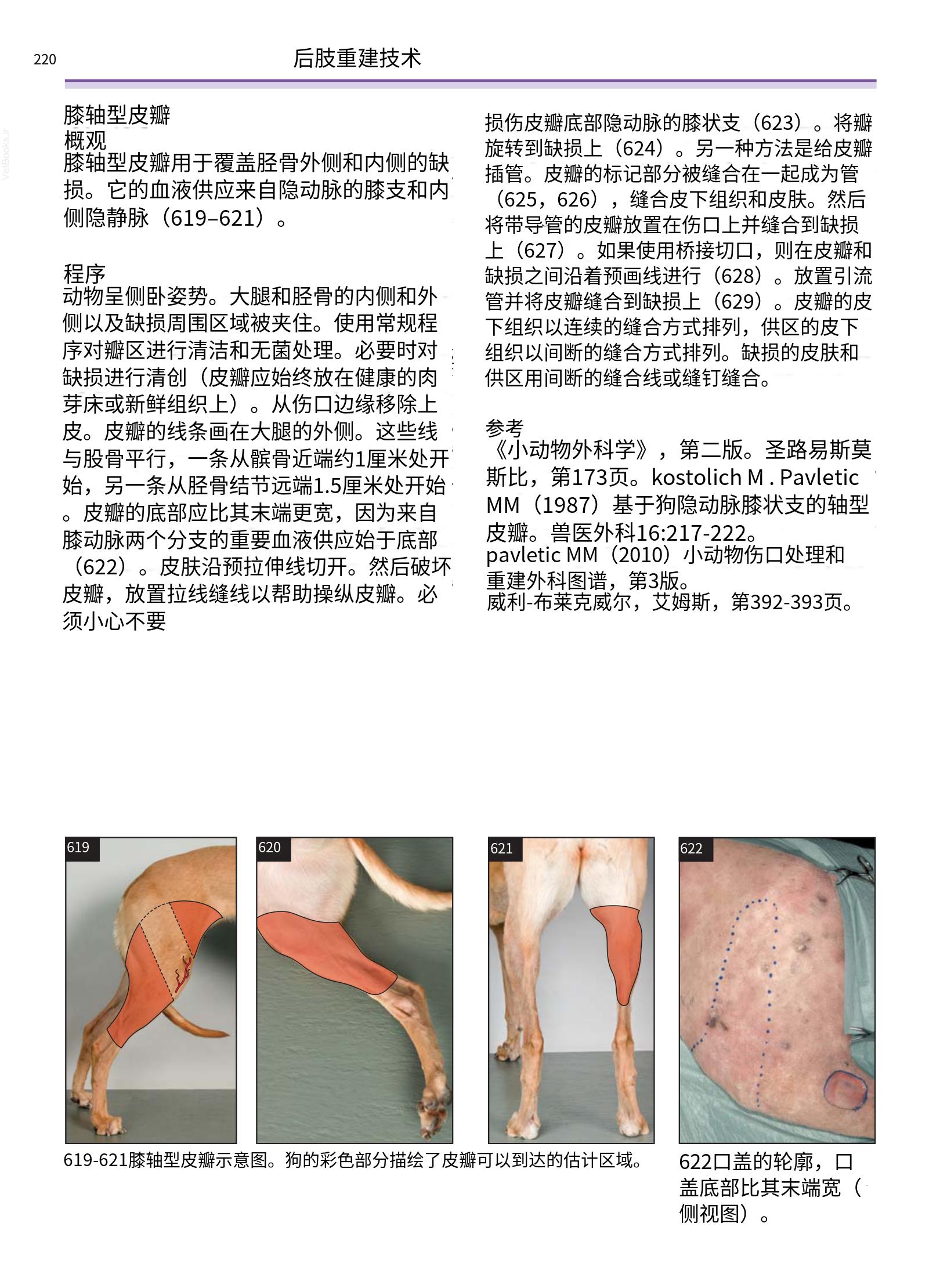 translated.a8c5a3760bed415983298318b0ec0541_221.png