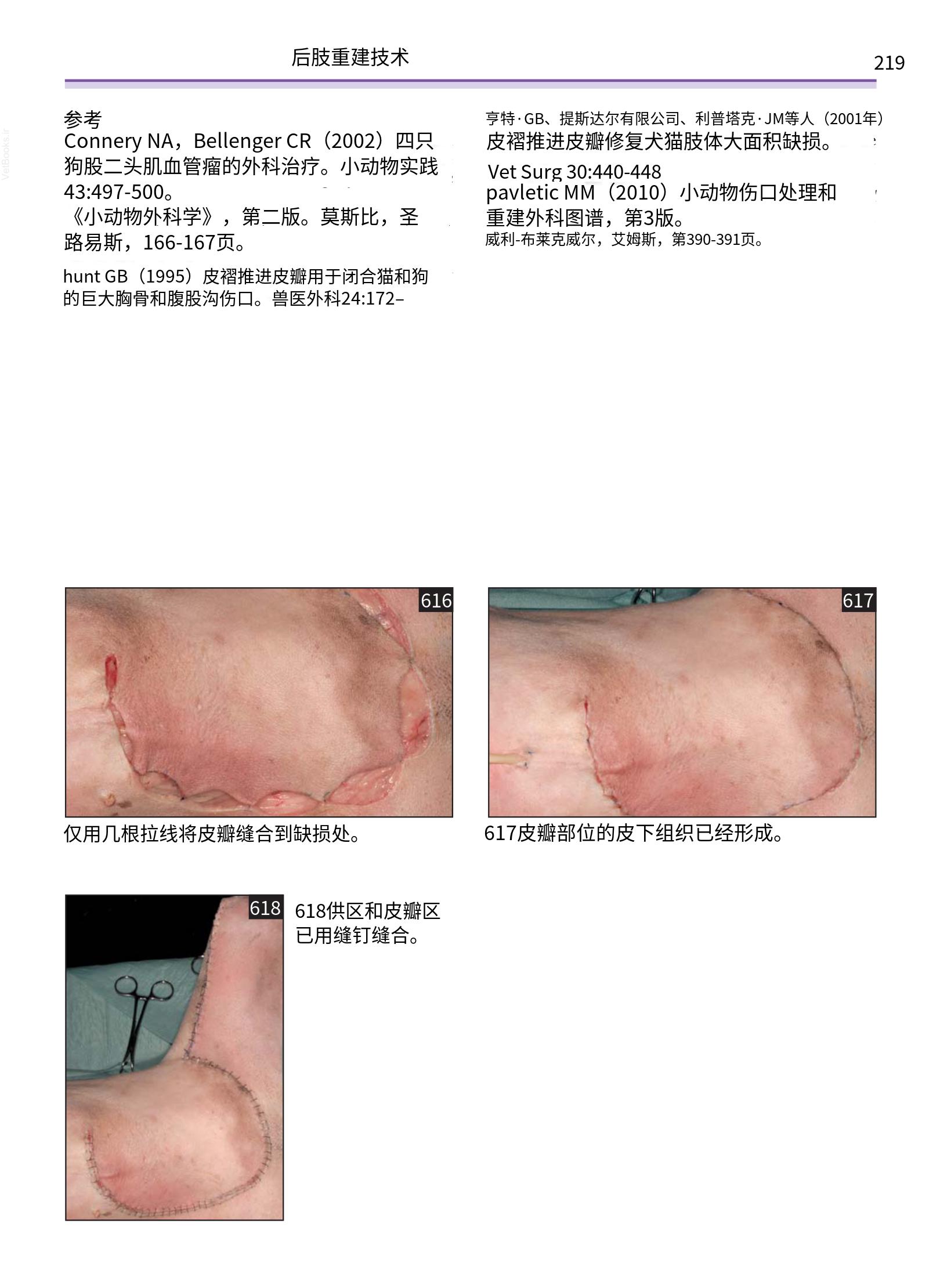 translated.a8c5a3760bed415983298318b0ec0541_220.png