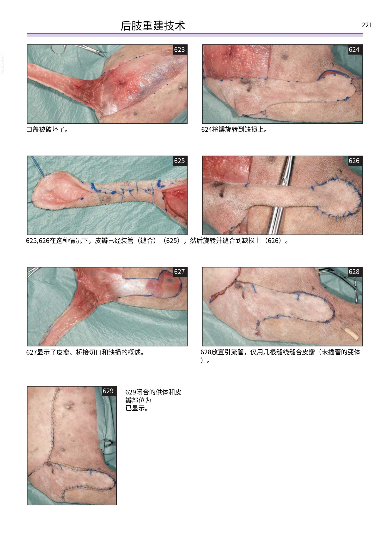 translated.a8c5a3760bed415983298318b0ec0541_222.png