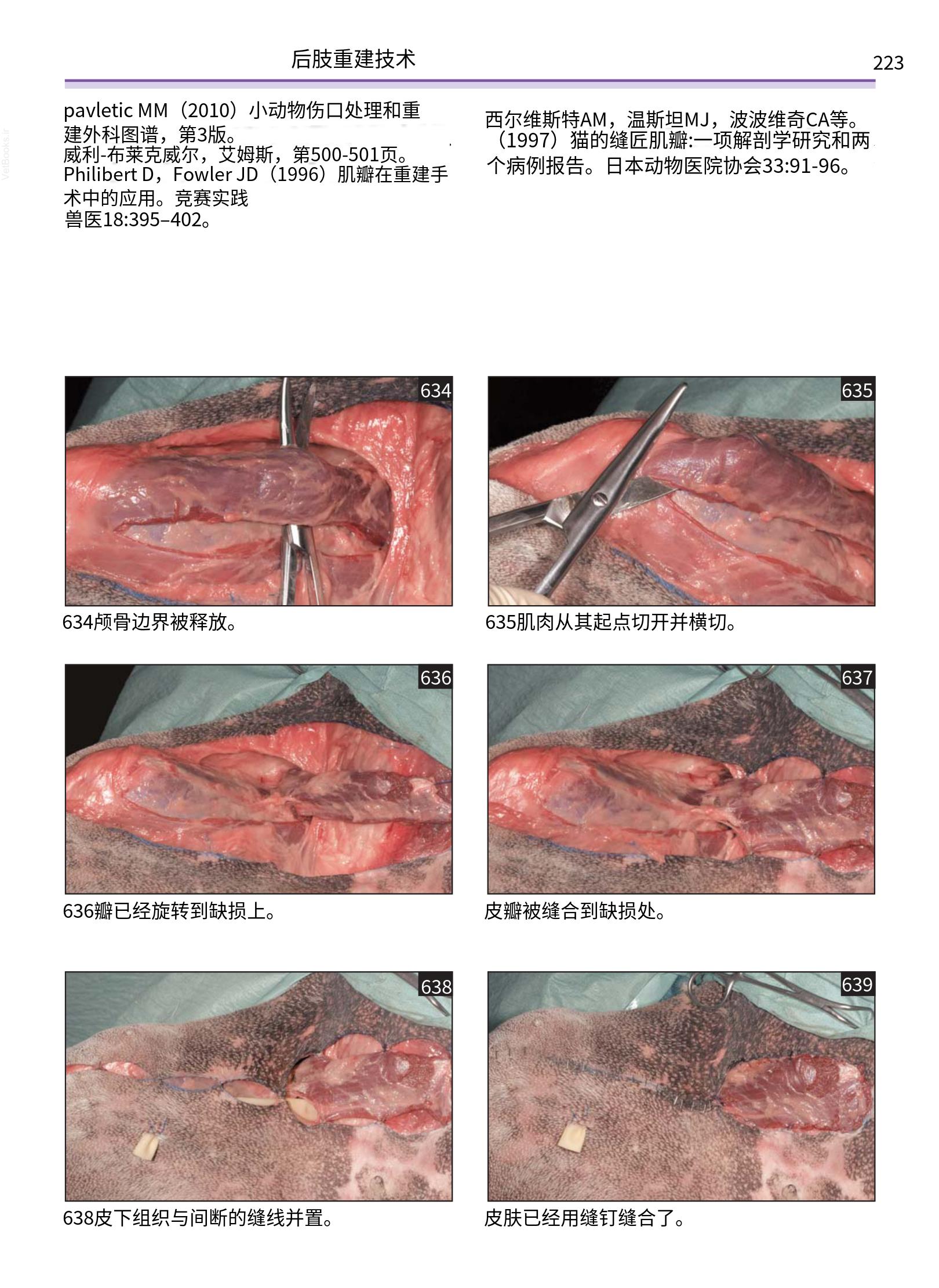 translated.a8c5a3760bed415983298318b0ec0541_224.png