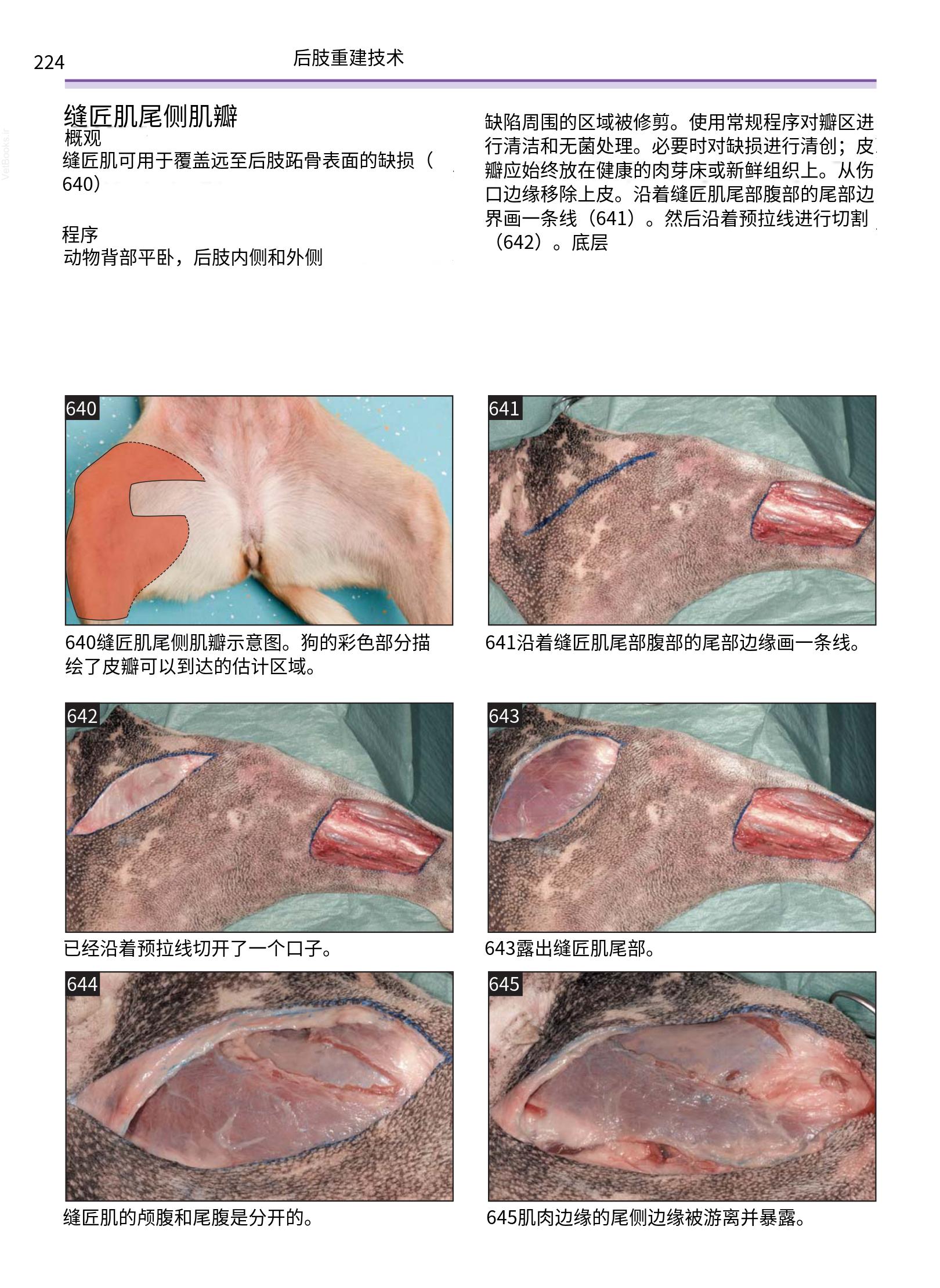 translated.a8c5a3760bed415983298318b0ec0541_225.png