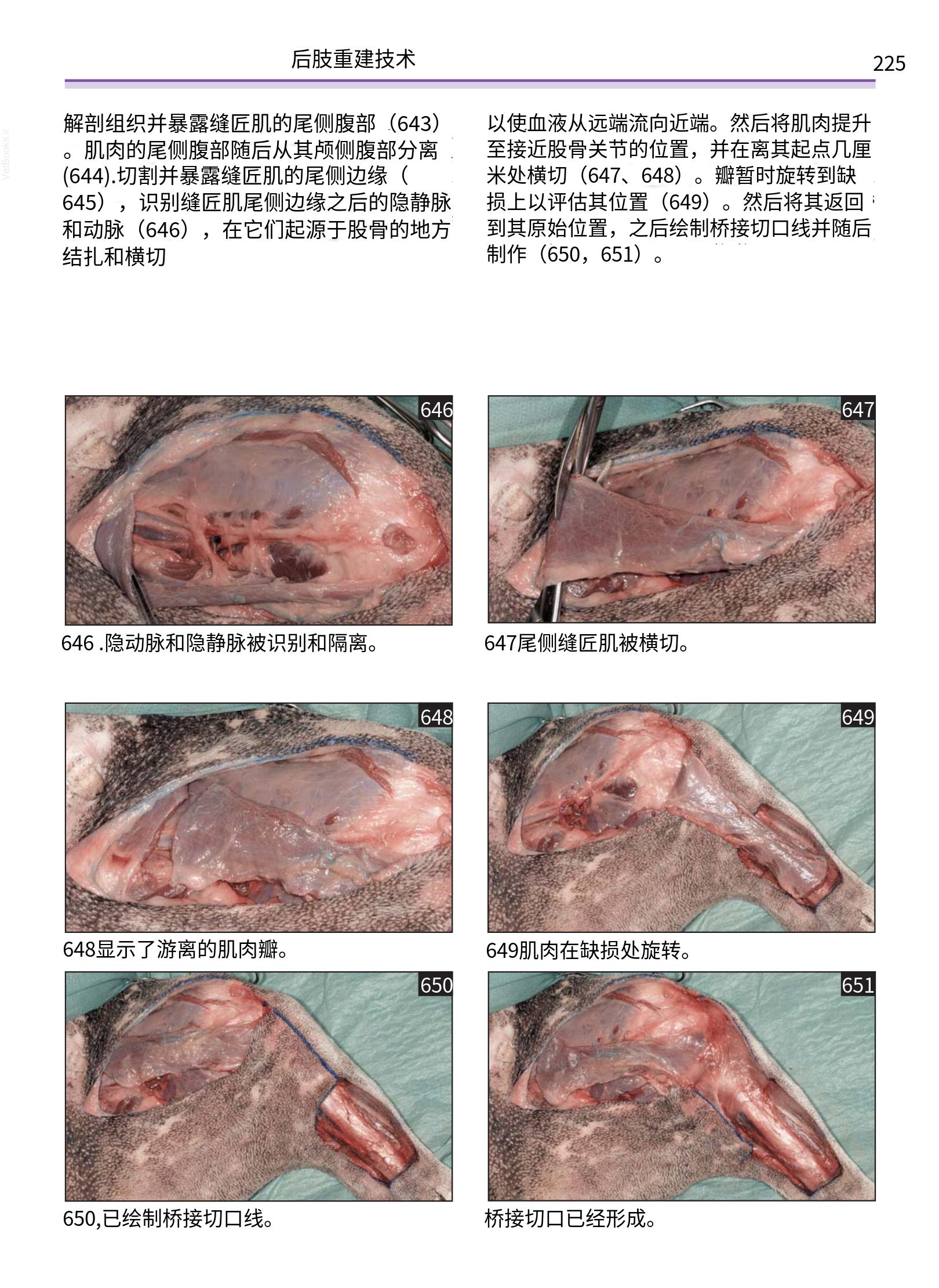 translated.a8c5a3760bed415983298318b0ec0541_226.png